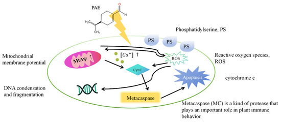Natural Extracts and Their Applications in Polymer-Based Natural Extracts and Their Applications in Polymer-Based