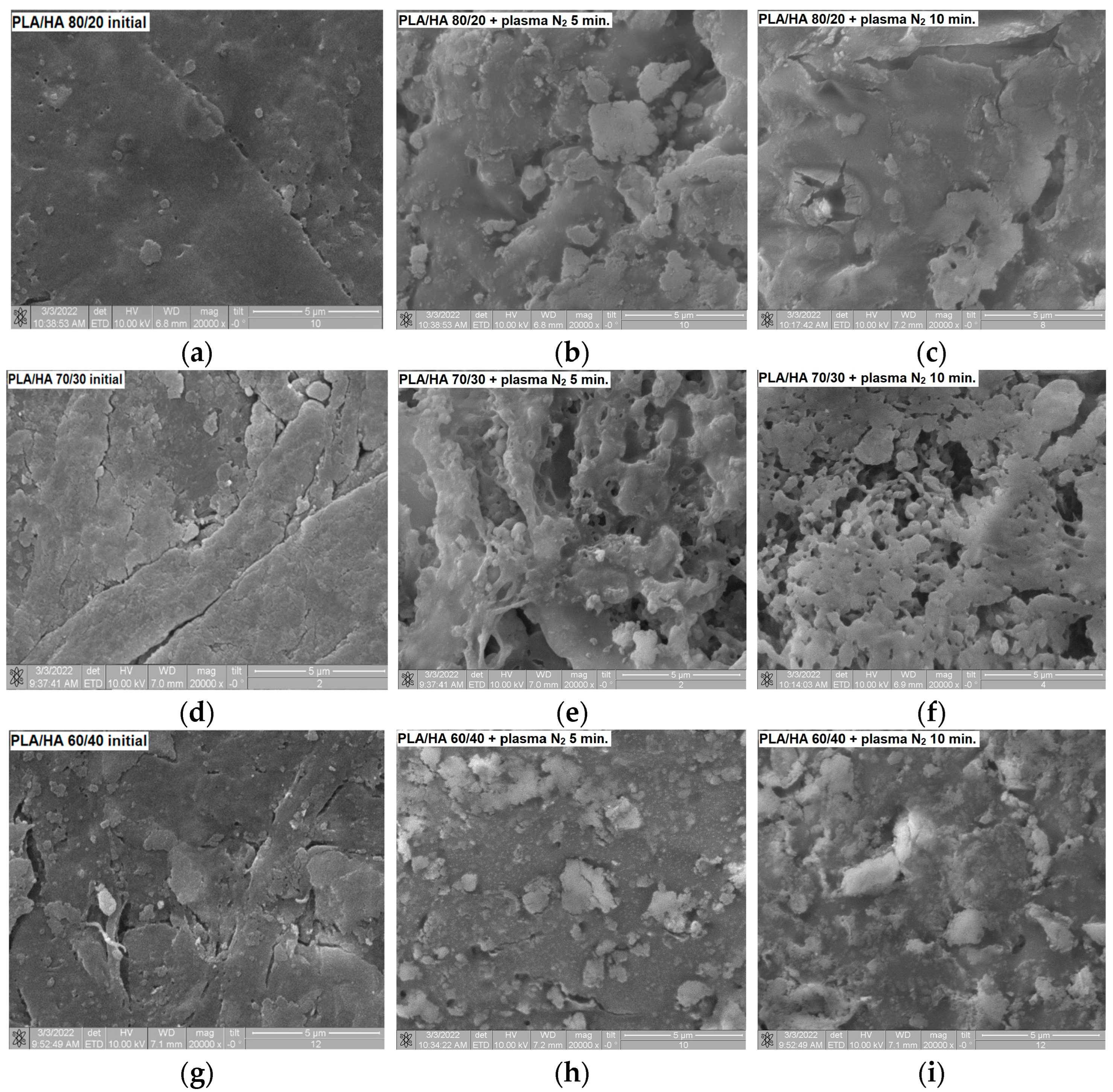 Polymers 16 00627 g008