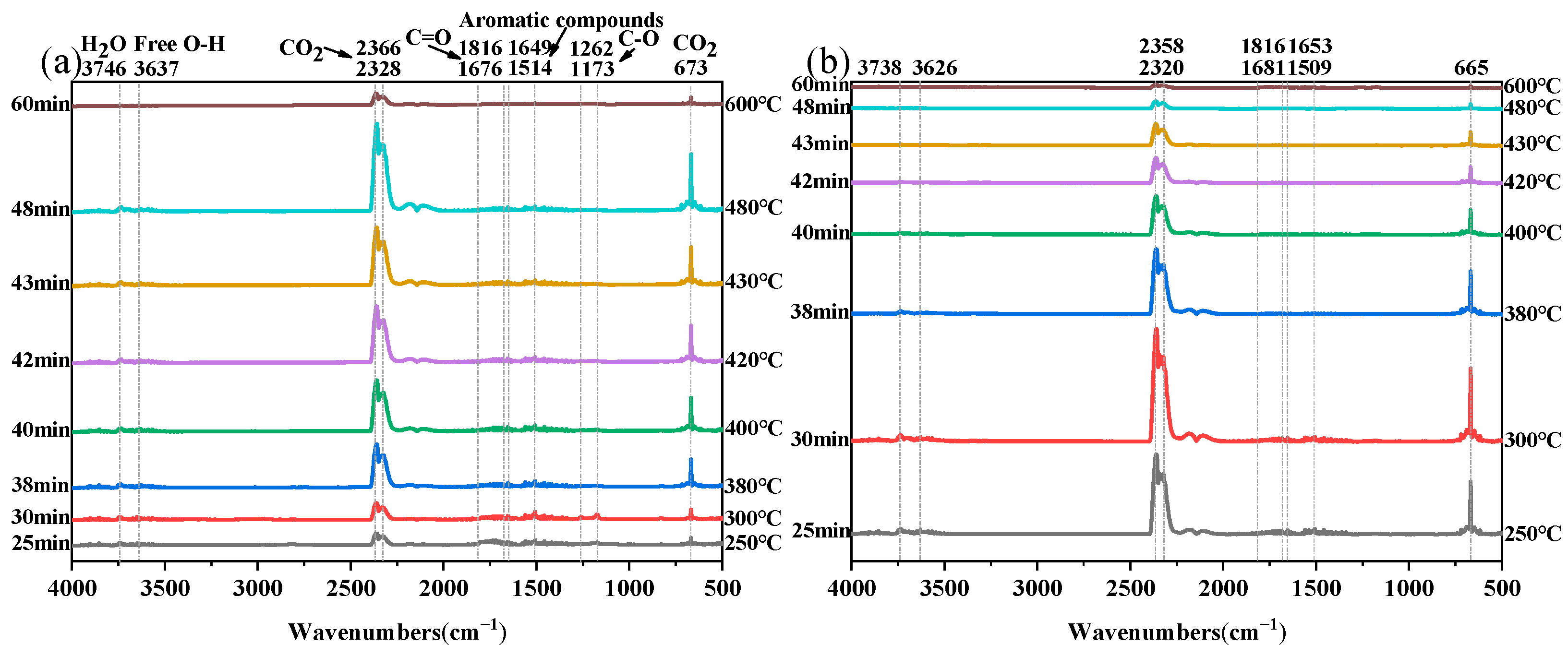 Polymers 16 00631 g014