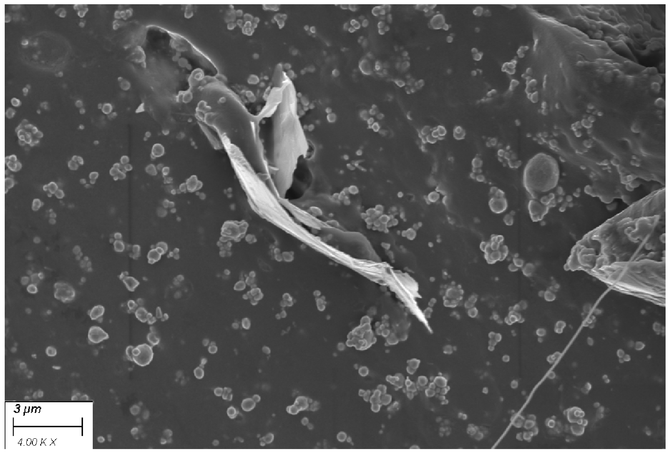 Polymers 16 00633 g007