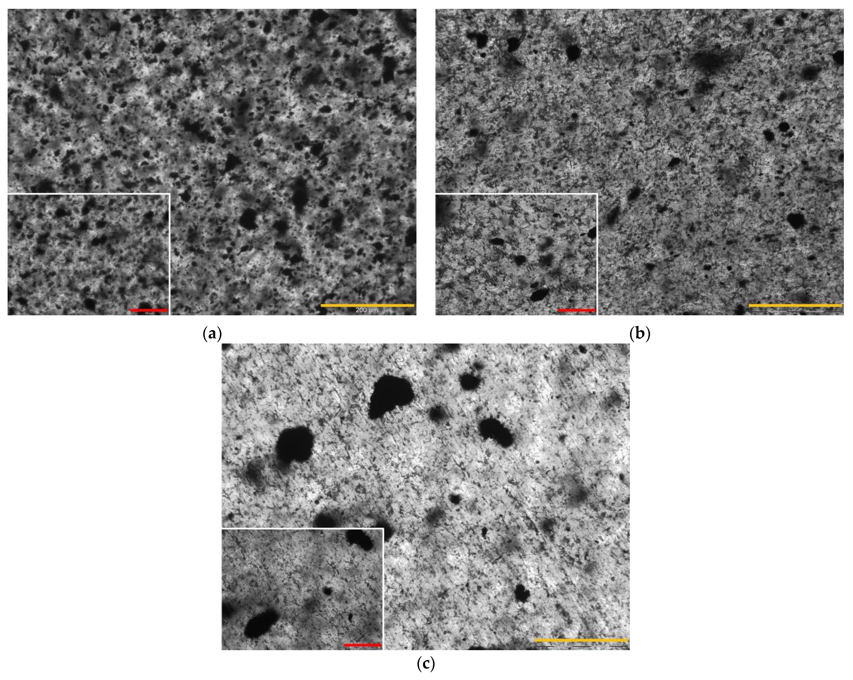 Polymers 16 00638 g003