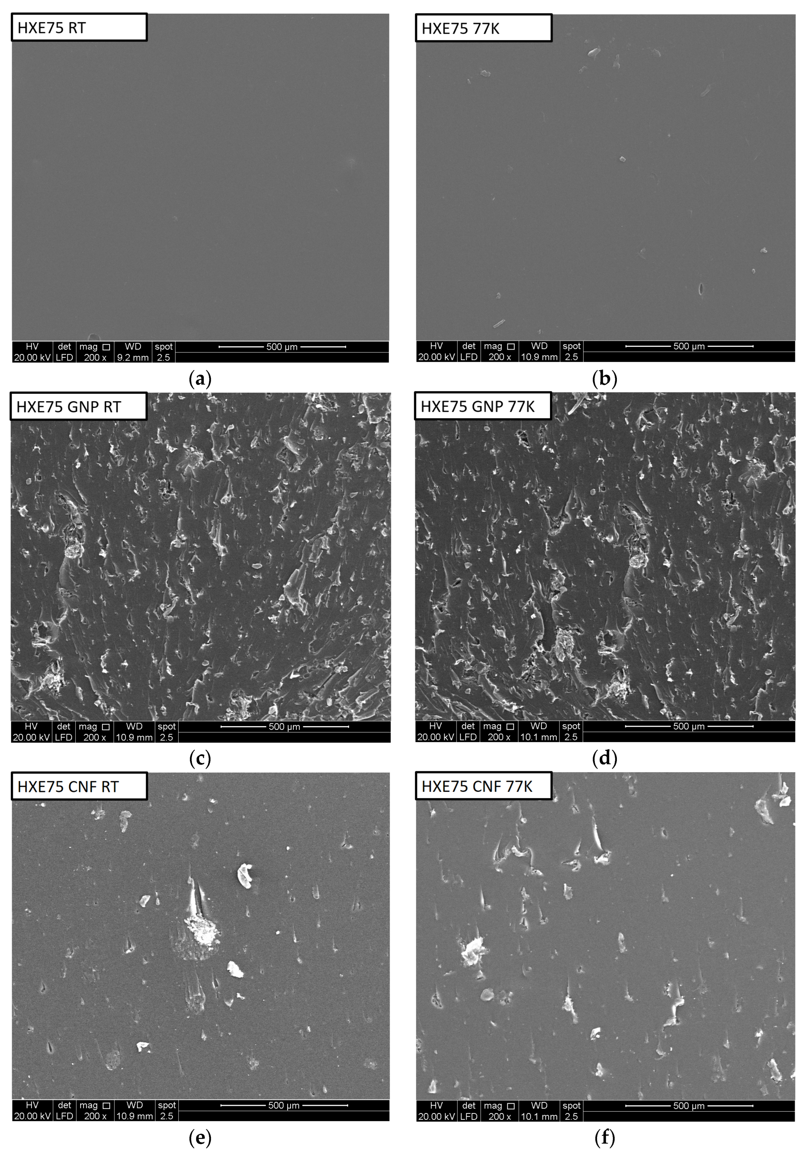 Polymers 16 00638 g006a