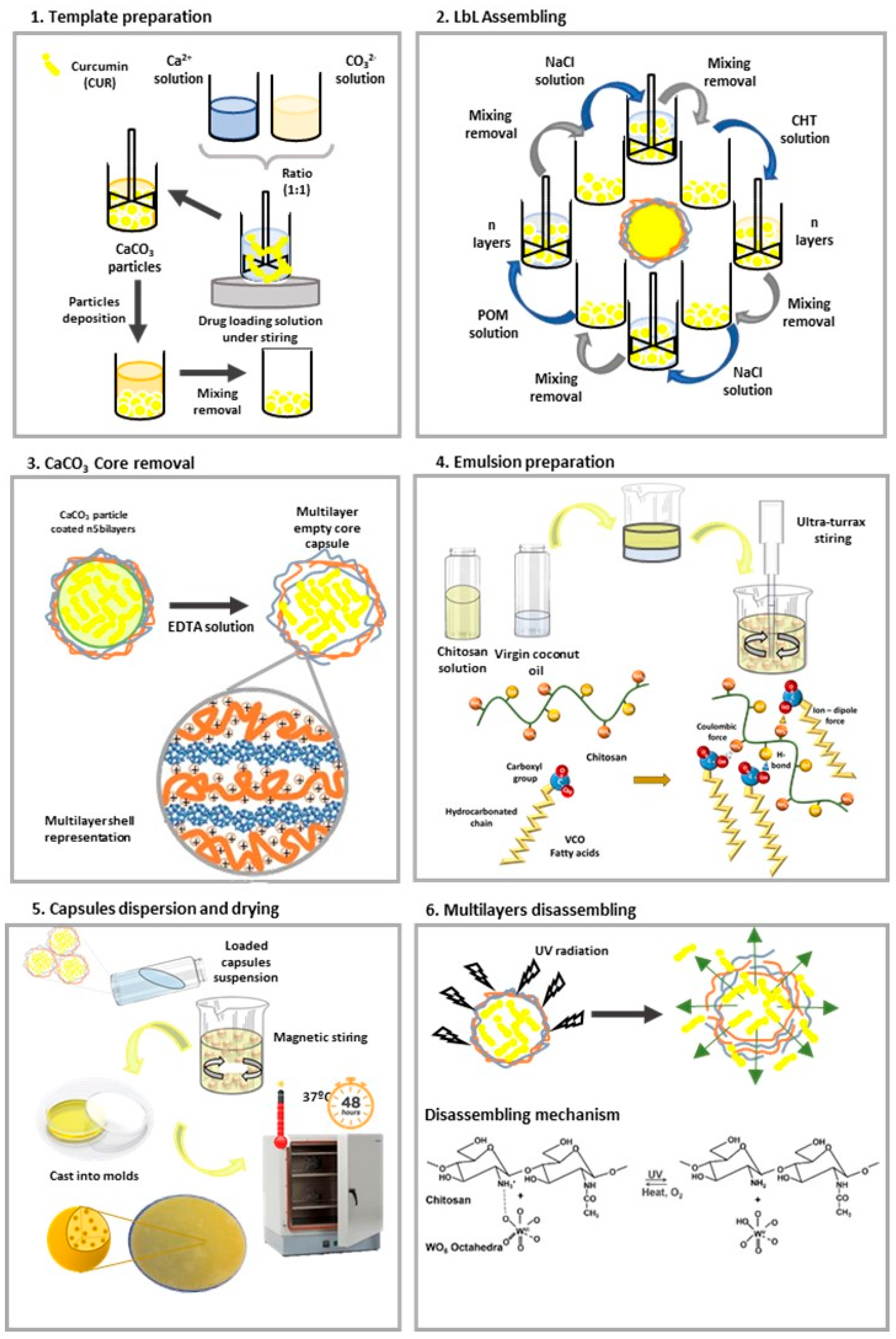 Polymers 16 00641 g001