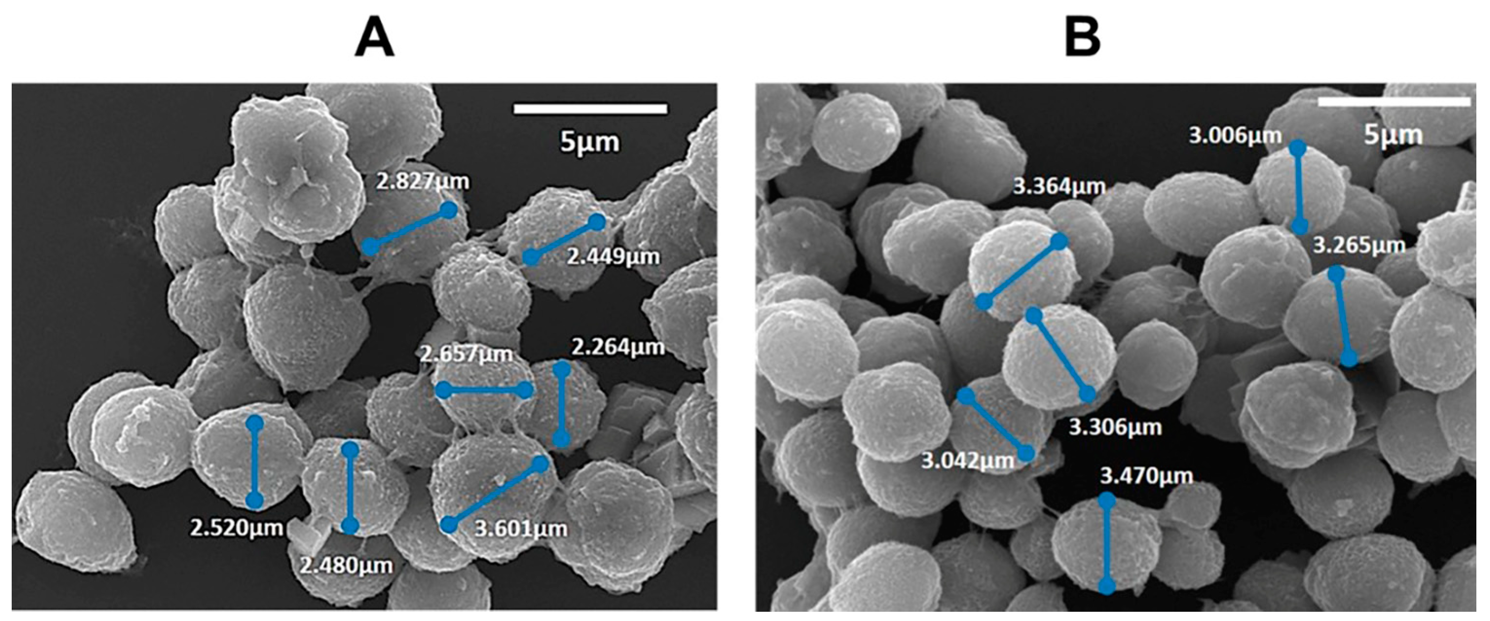 Polymers 16 00641 g003