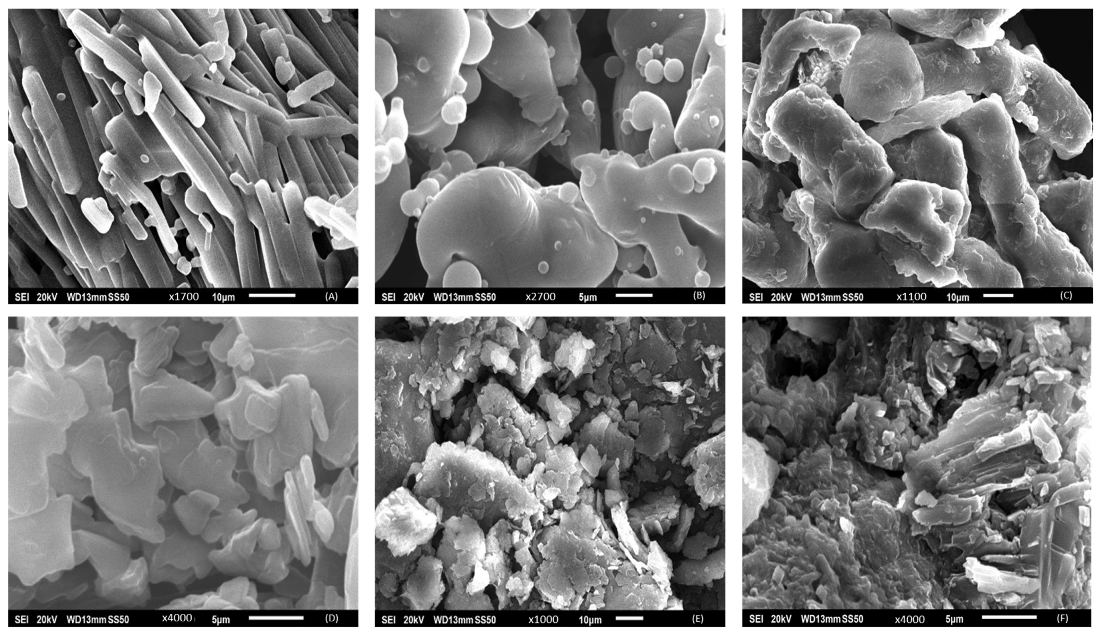 Polymers 16 00643 g010