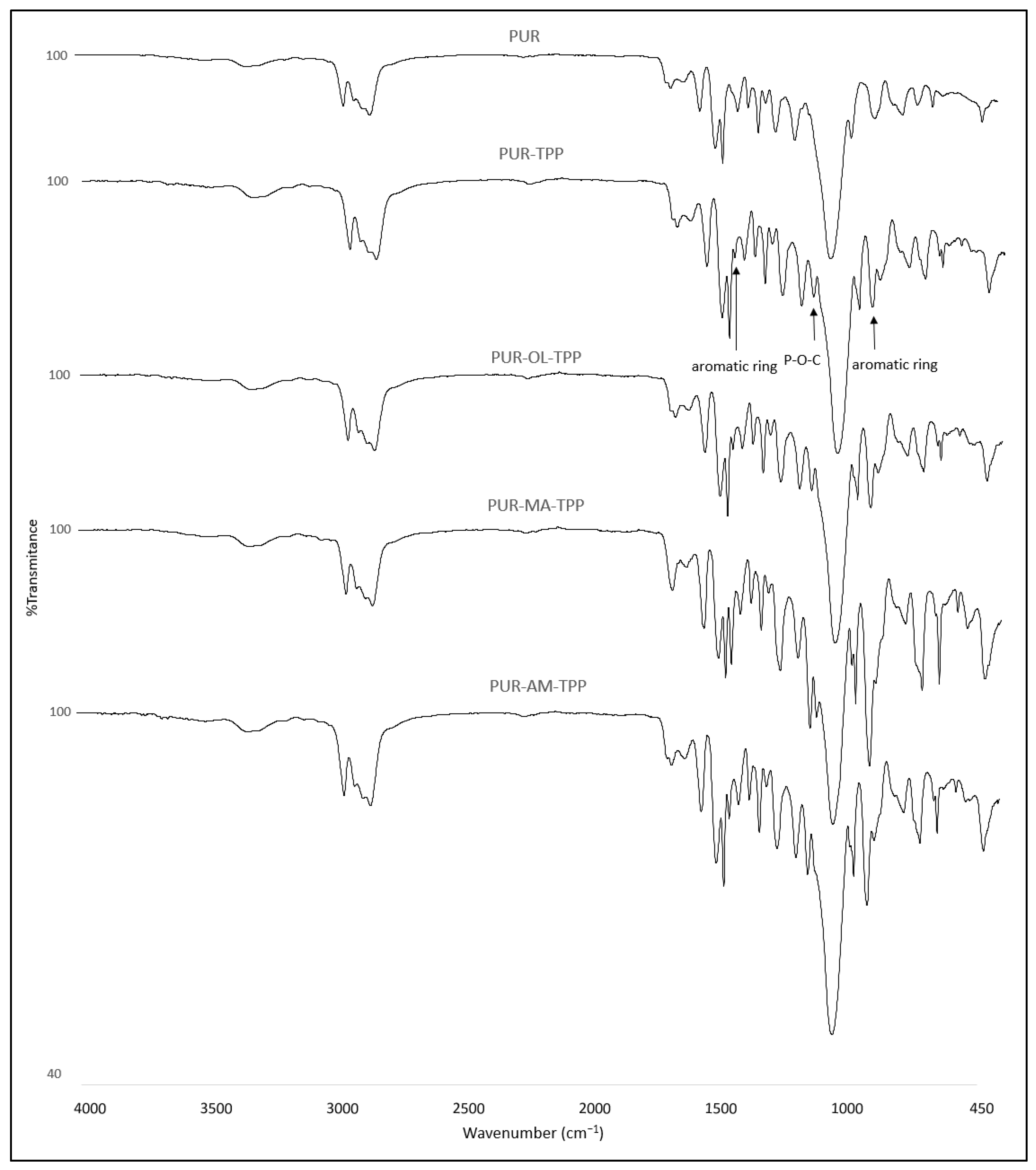 Polymers 16 00645 g004