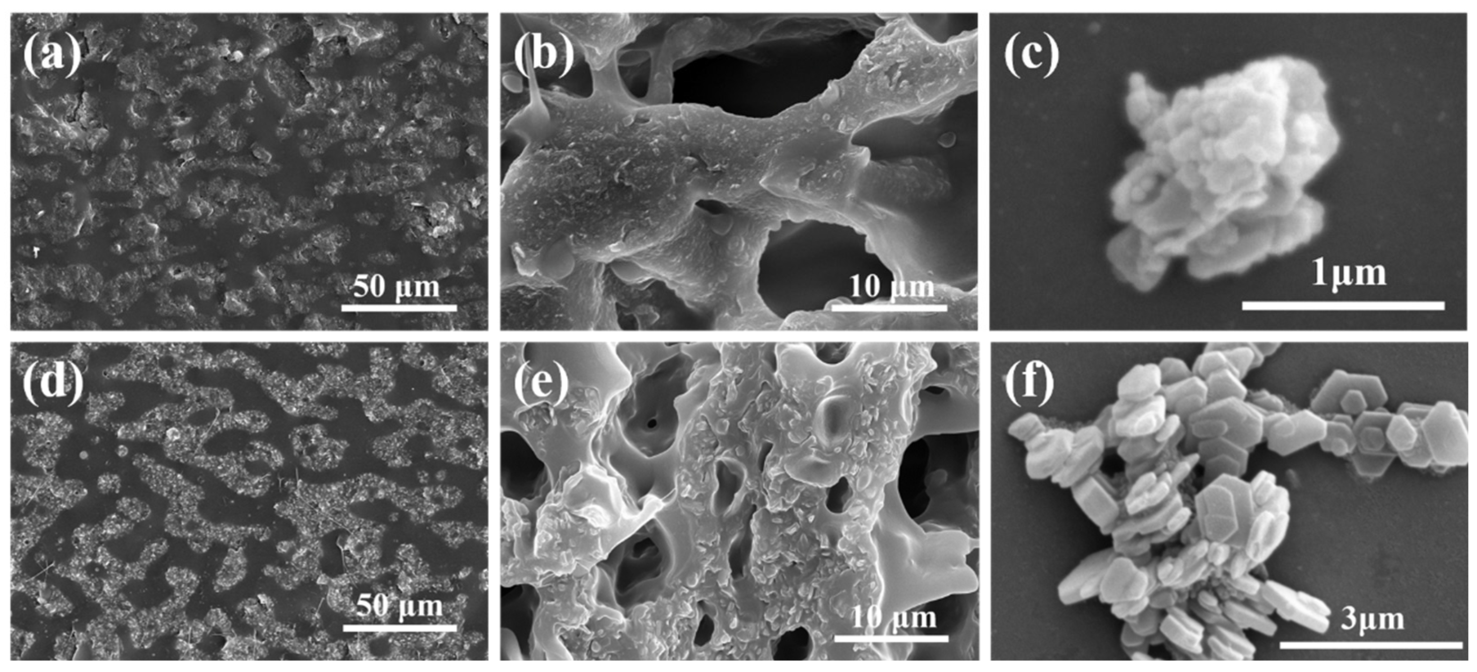 Polymers 16 00646 g002