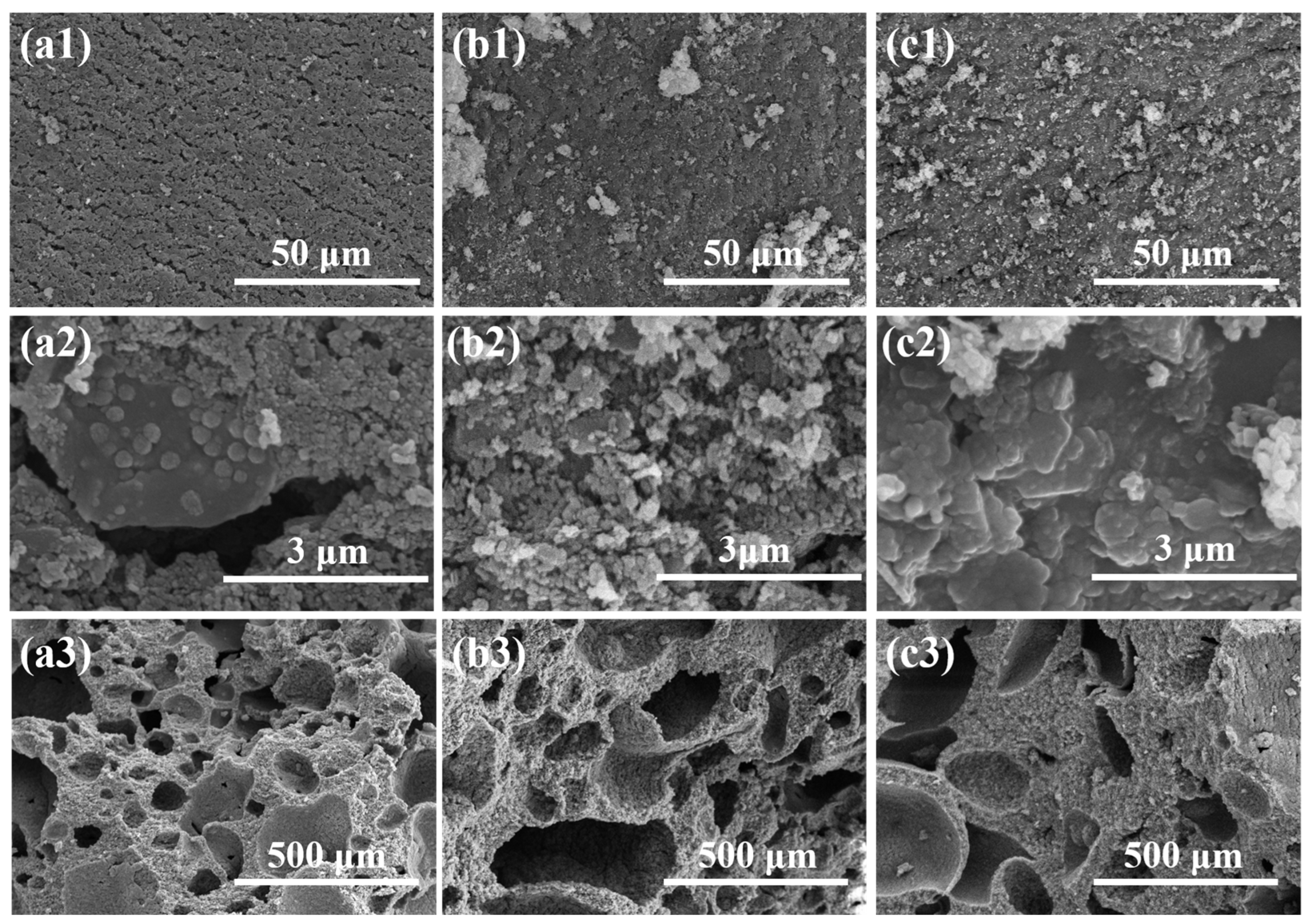 Polymers 16 00646 g008