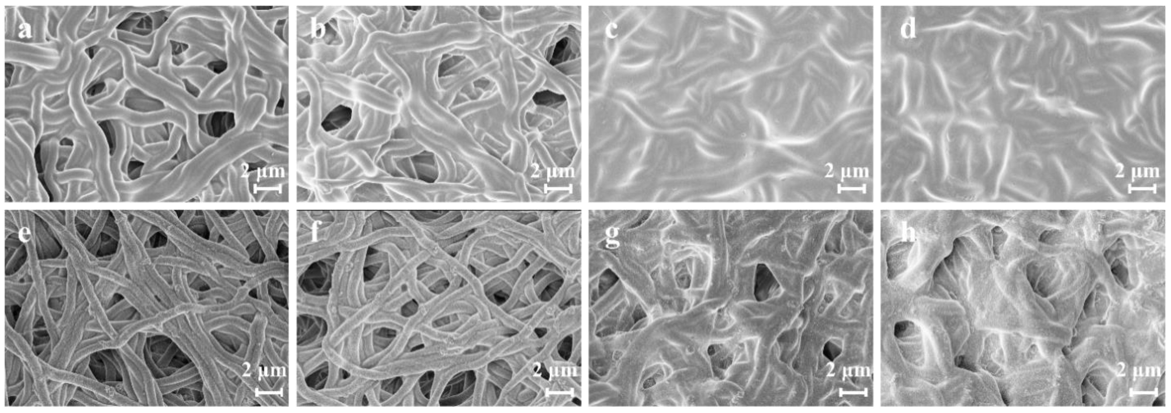 Polymers 16 00648 g002
