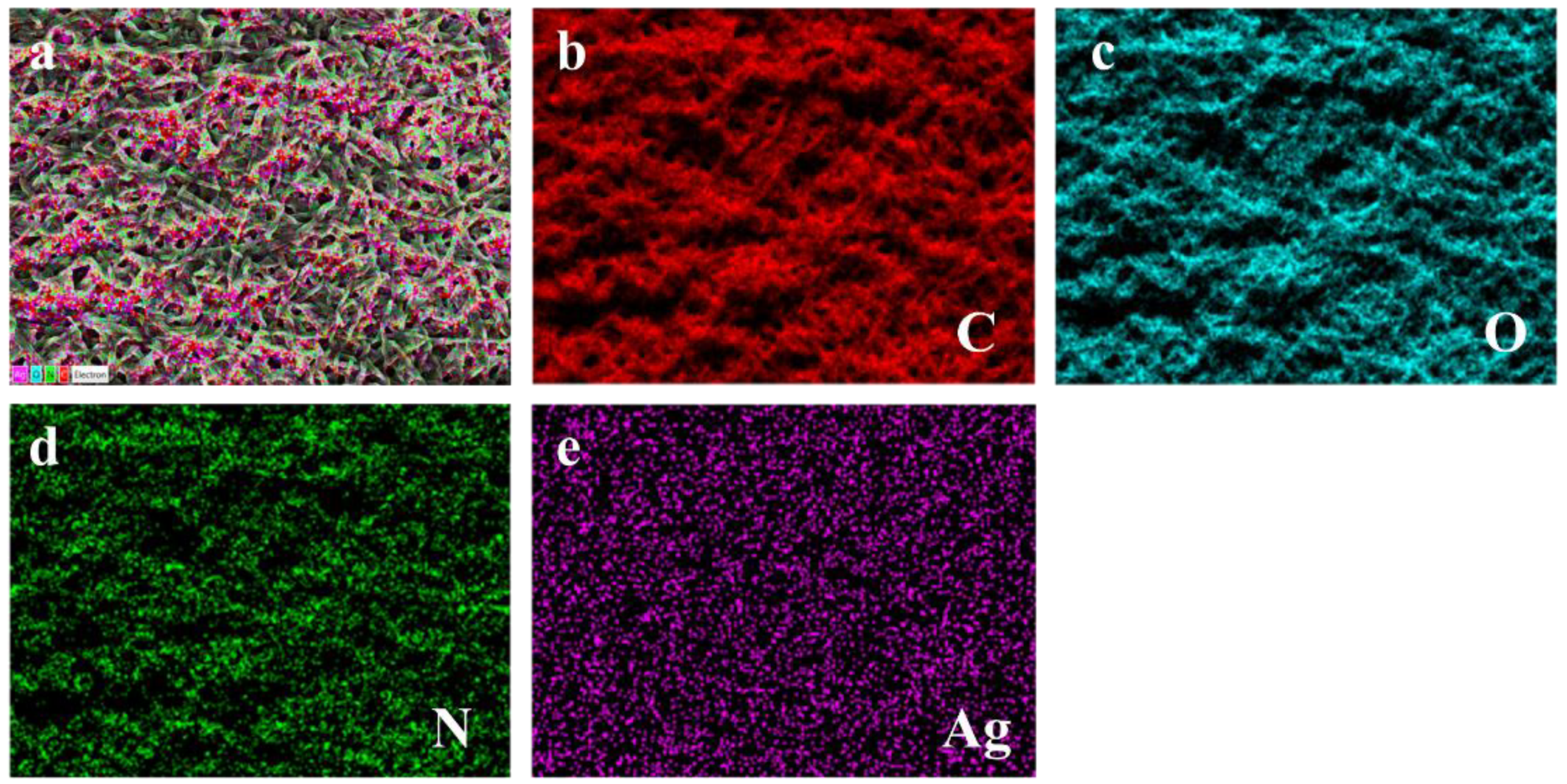 Polymers 16 00648 g003