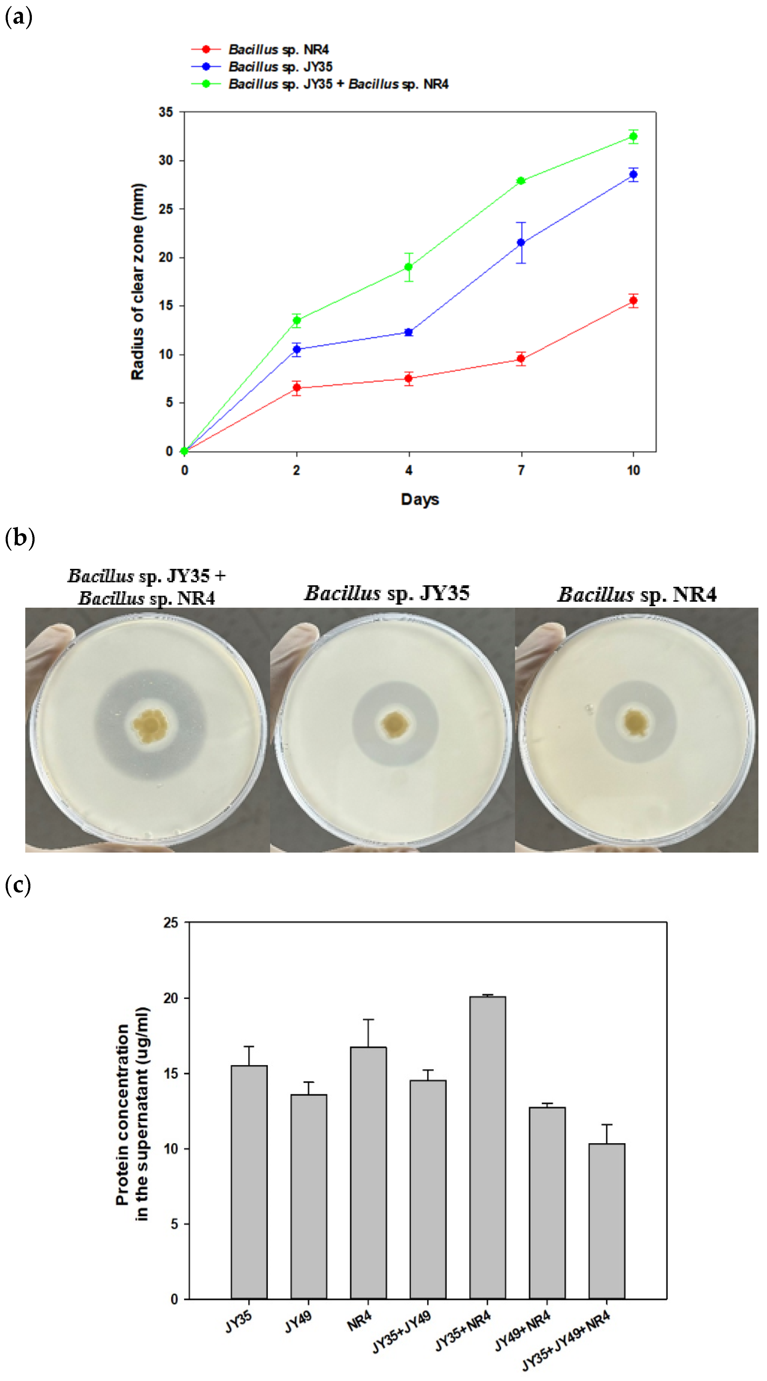 Polymers 16 00651 g002