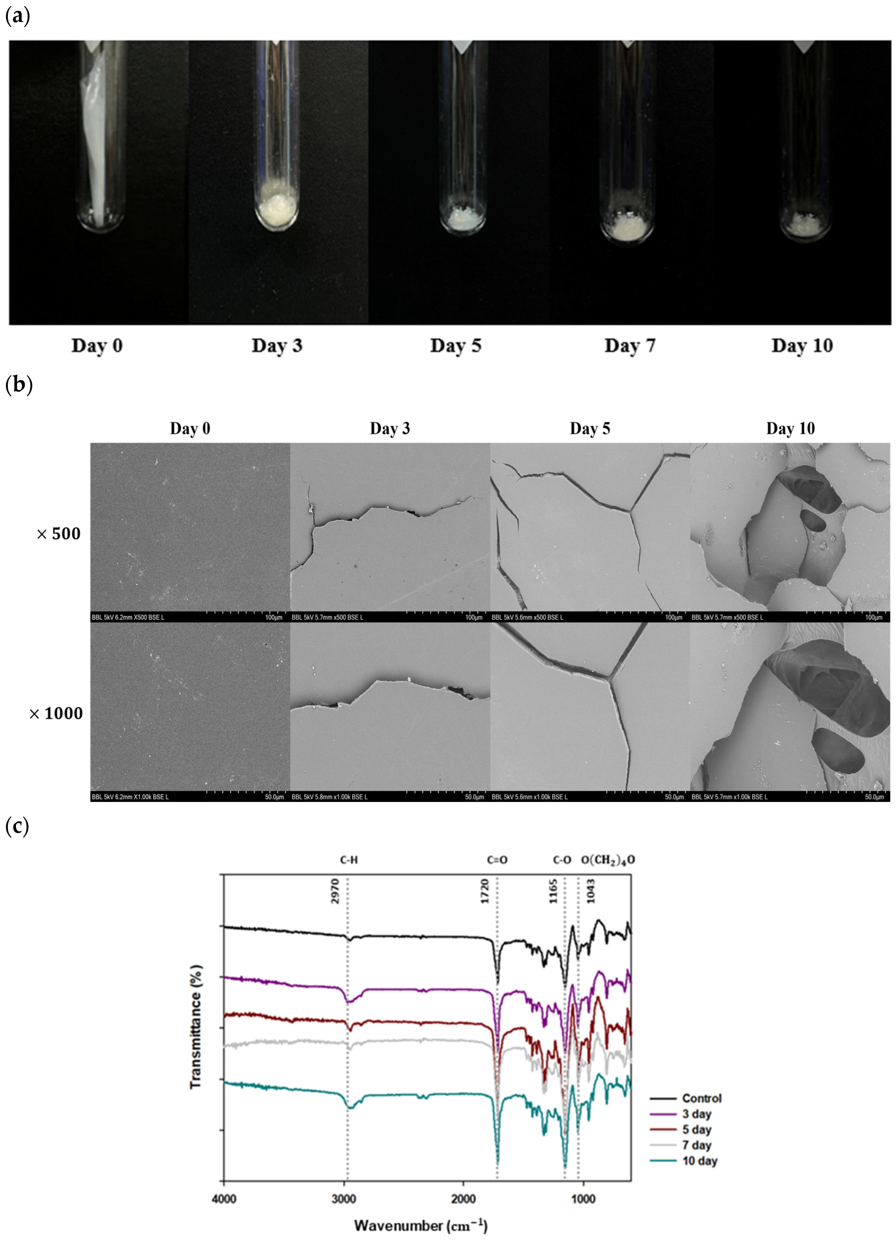 Polymers 16 00651 g004
