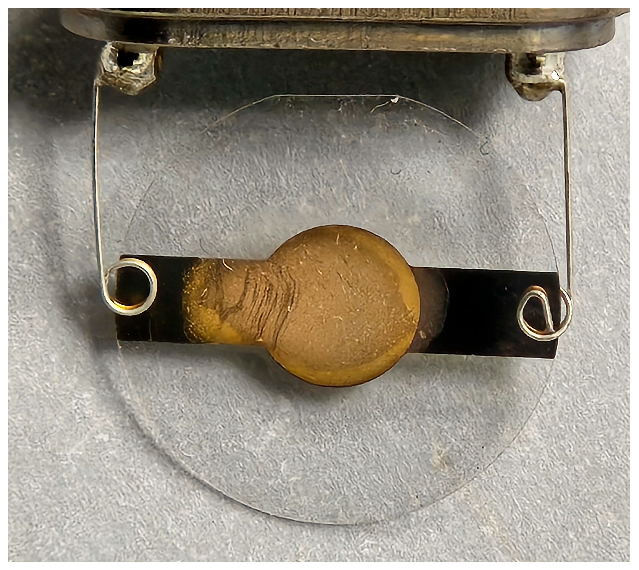 Polymers 16 00652 g002