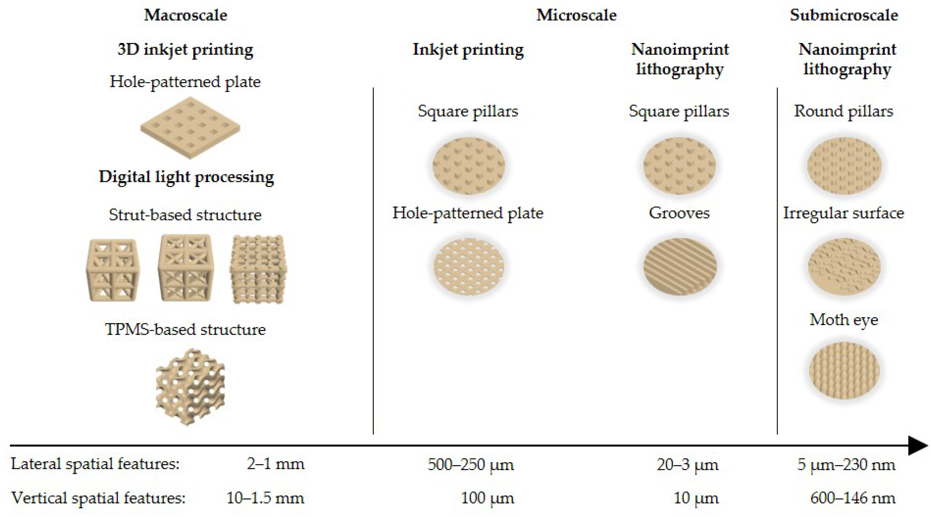 Polymers 16 00655 g001