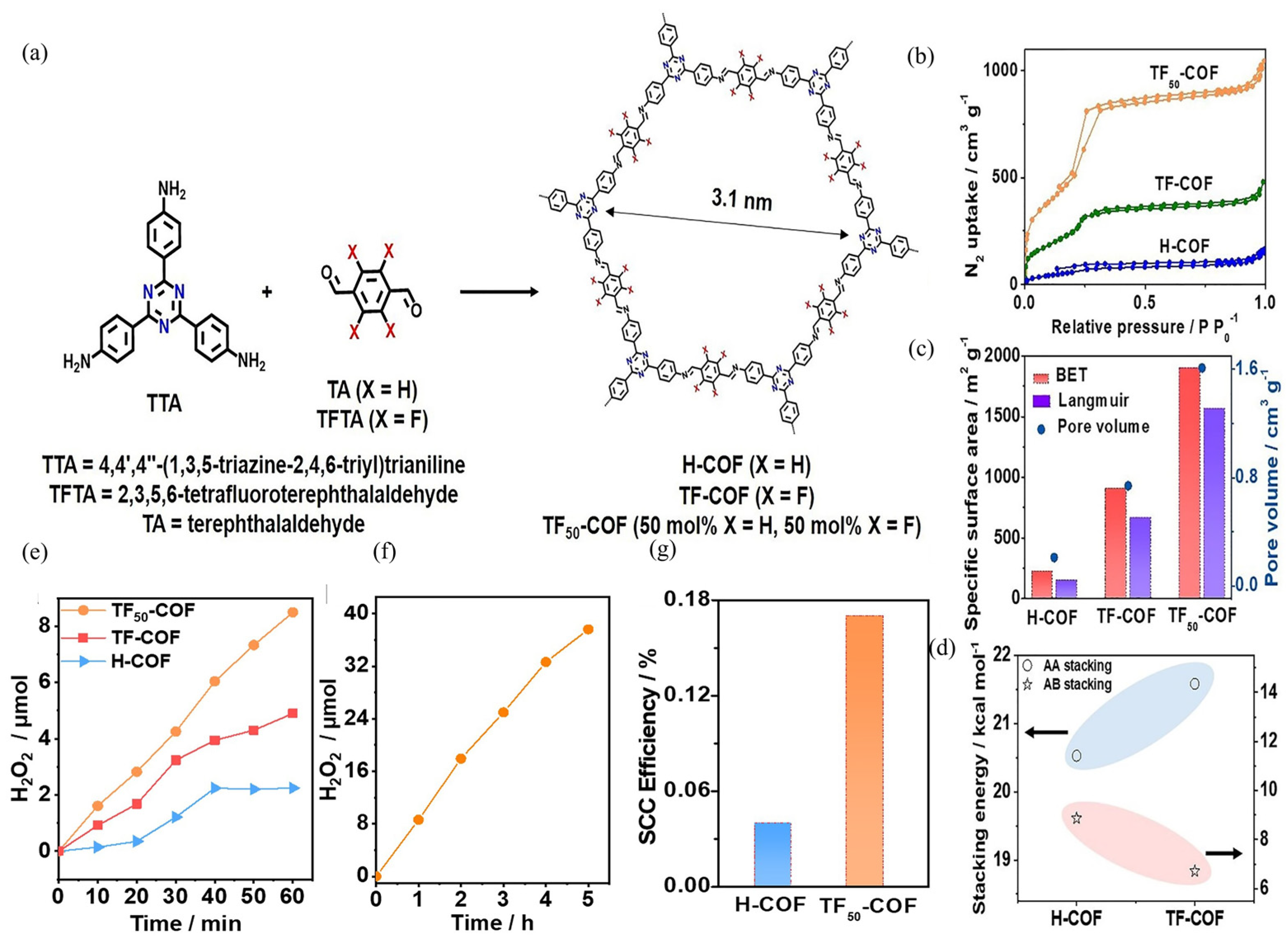 Polymers 16 00659 g006