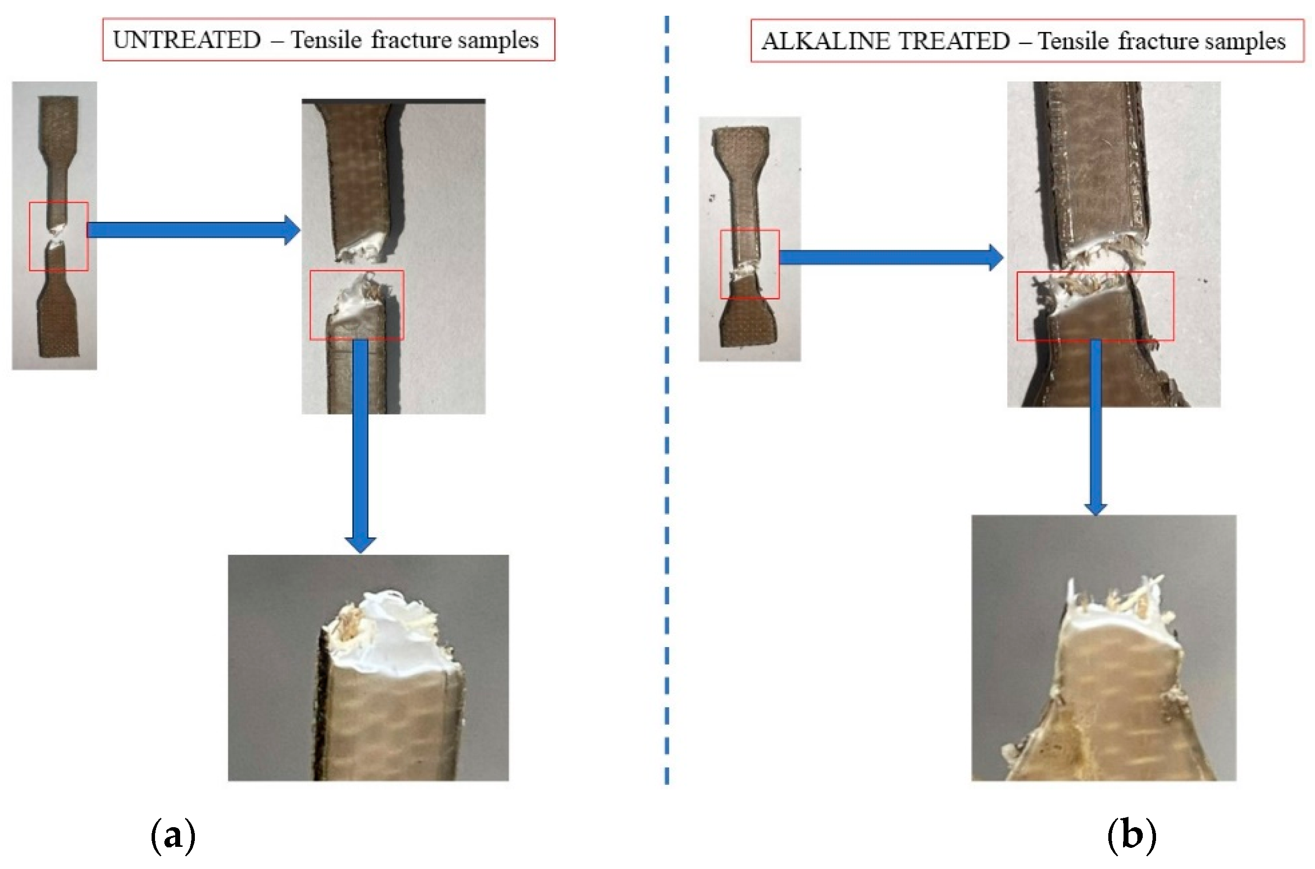Polymers 16 00662 g005