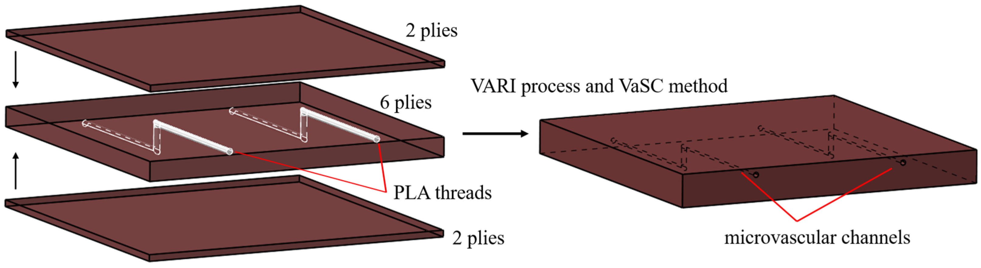 Polymers 16 00665 g002