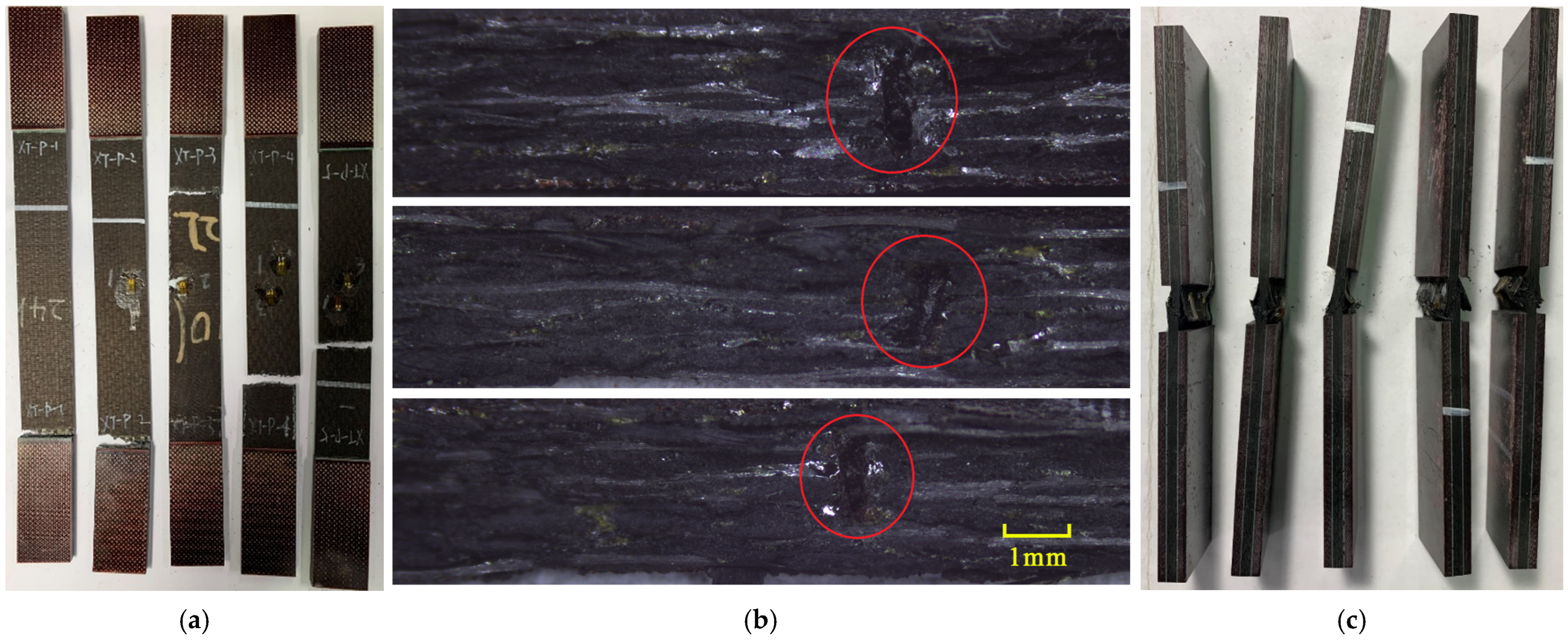 Polymers 16 00665 g005