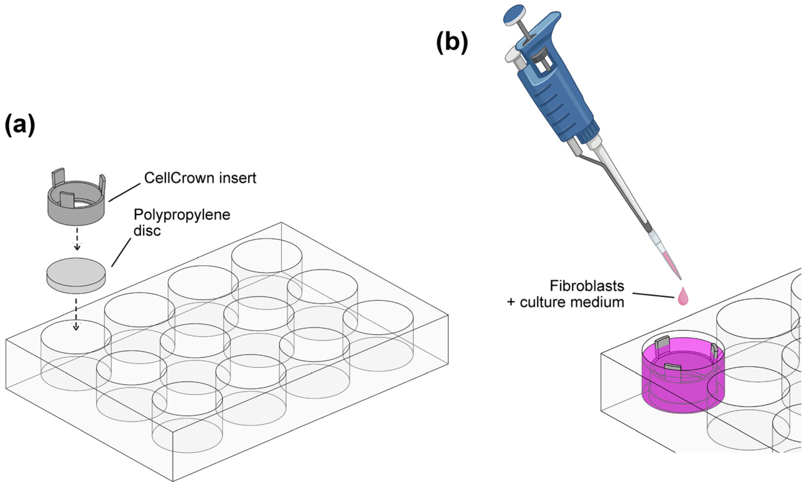 Polymers 16 00667 g001