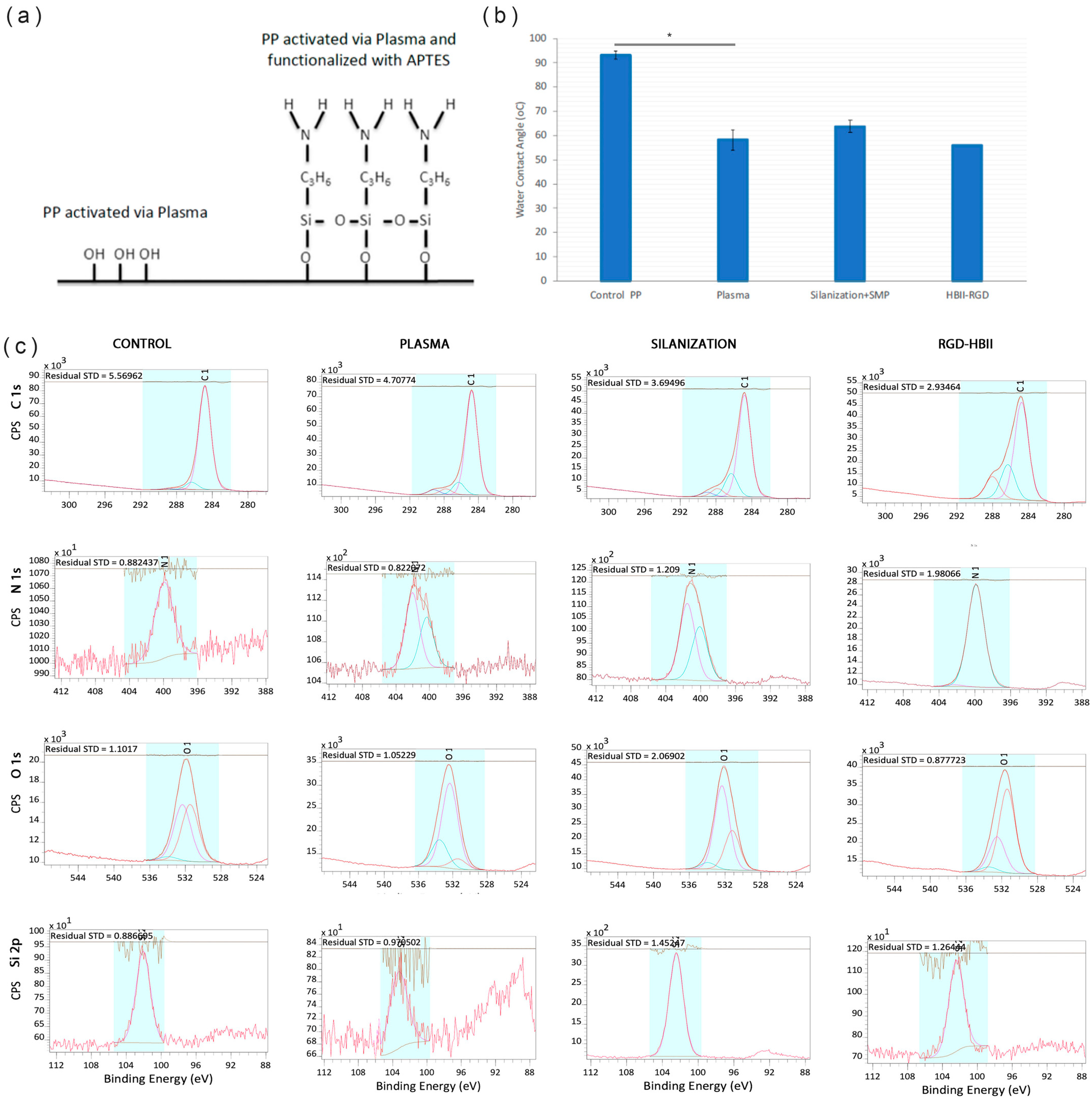 Polymers 16 00667 g003