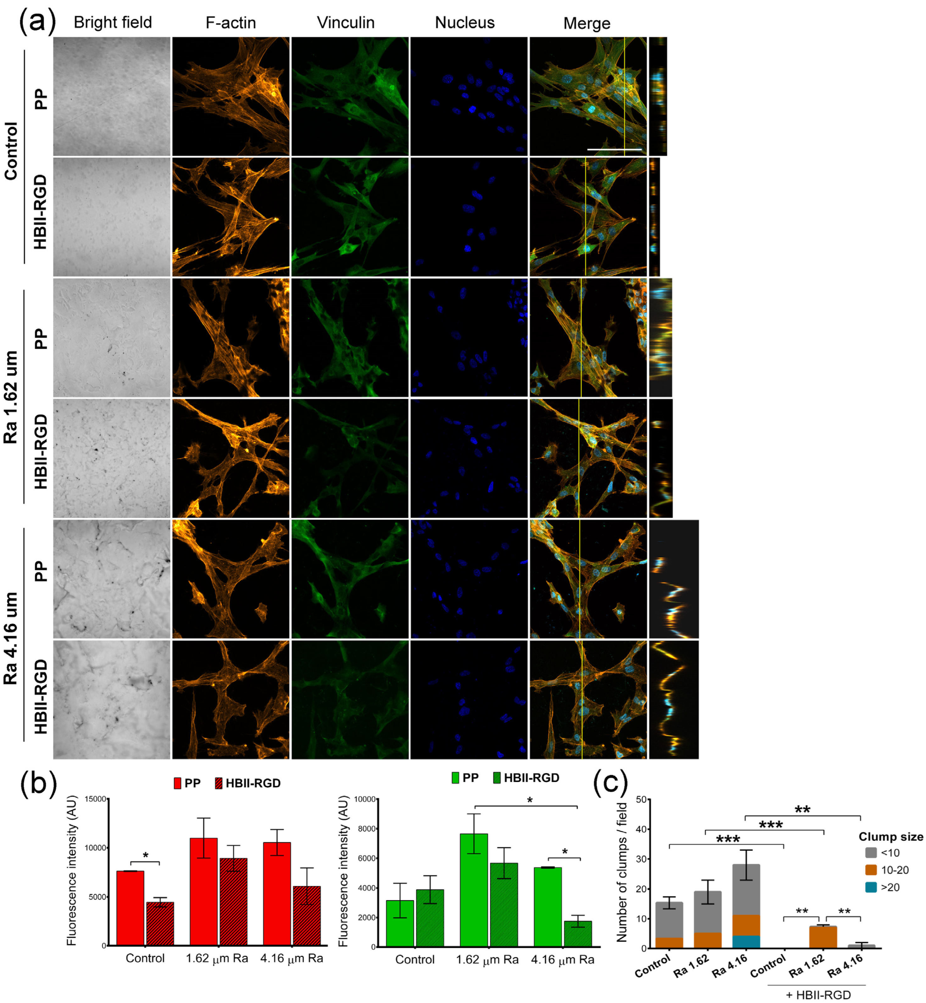 Polymers 16 00667 g008