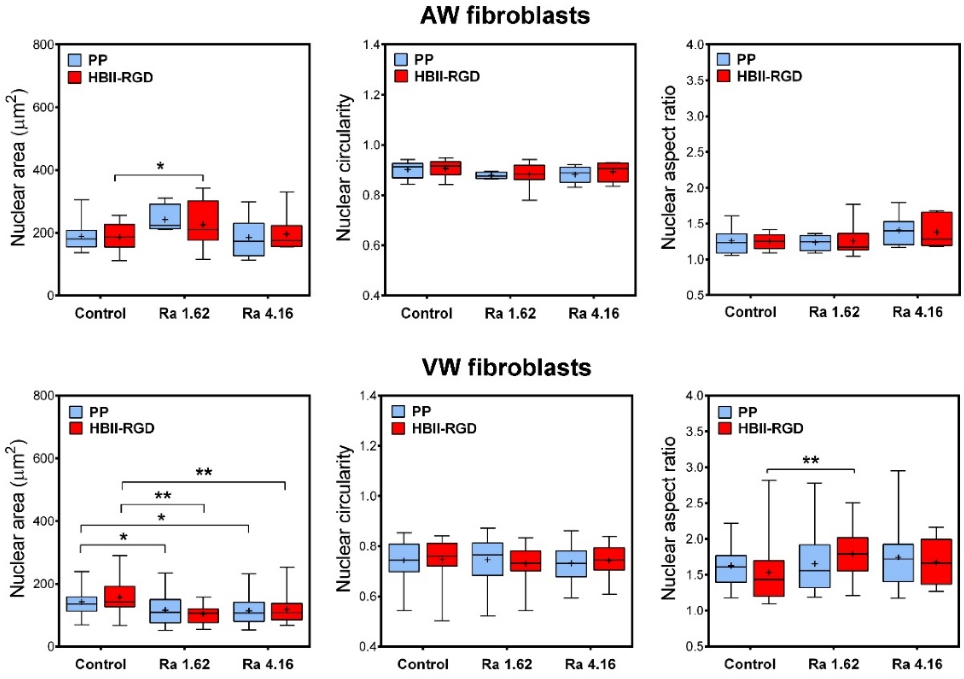 Polymers 16 00667 g009