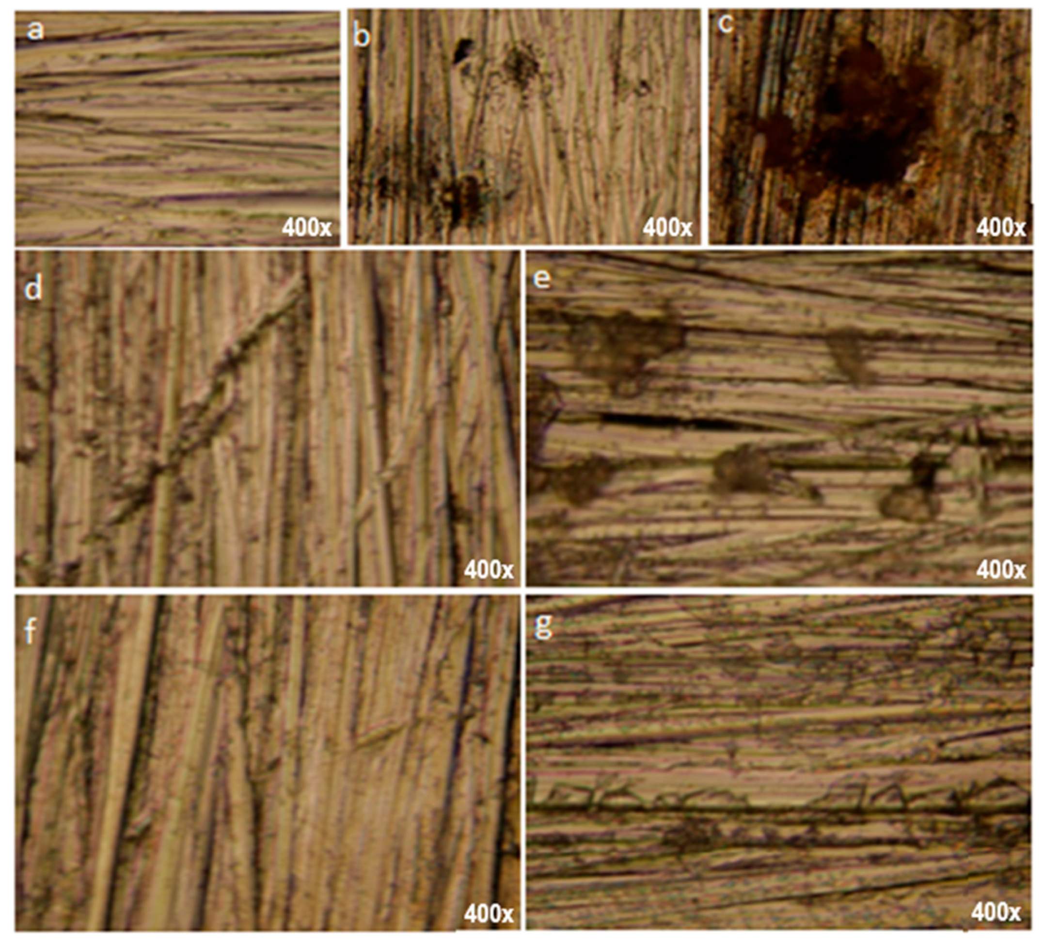Polymers 16 00669 g011