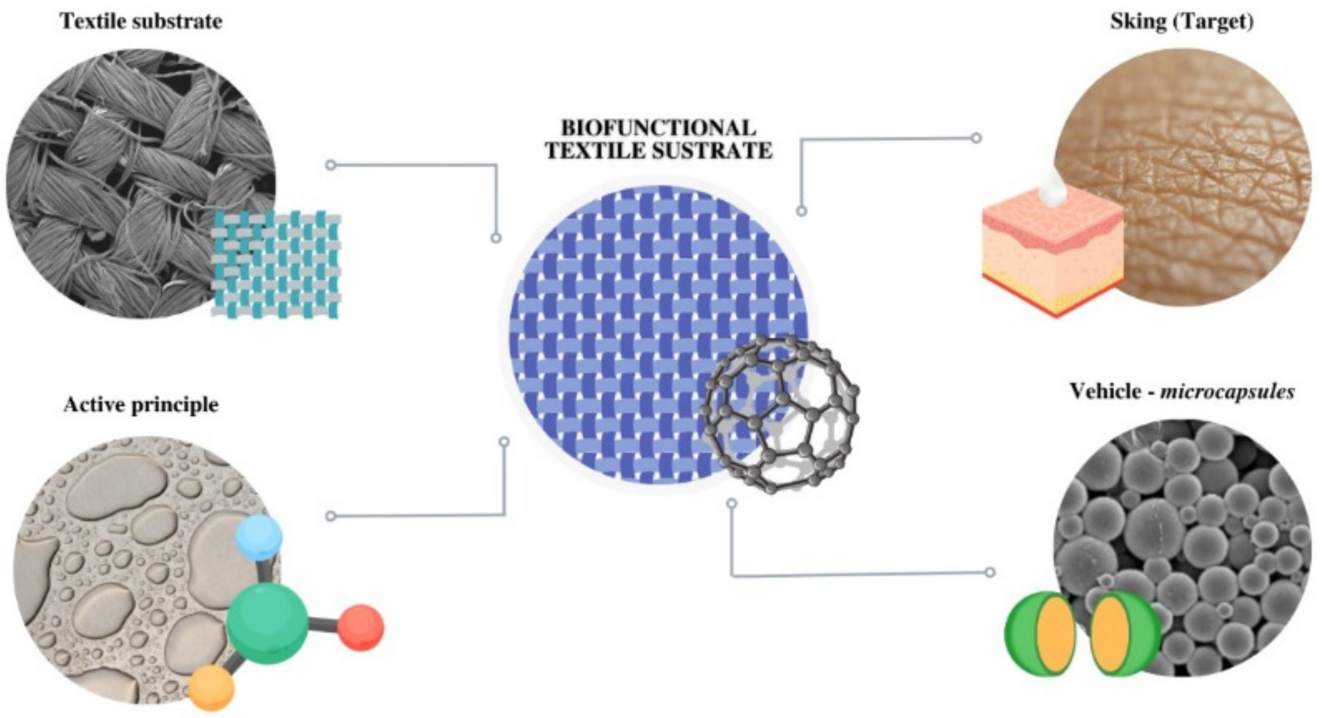 Polymers 16 00670 g001