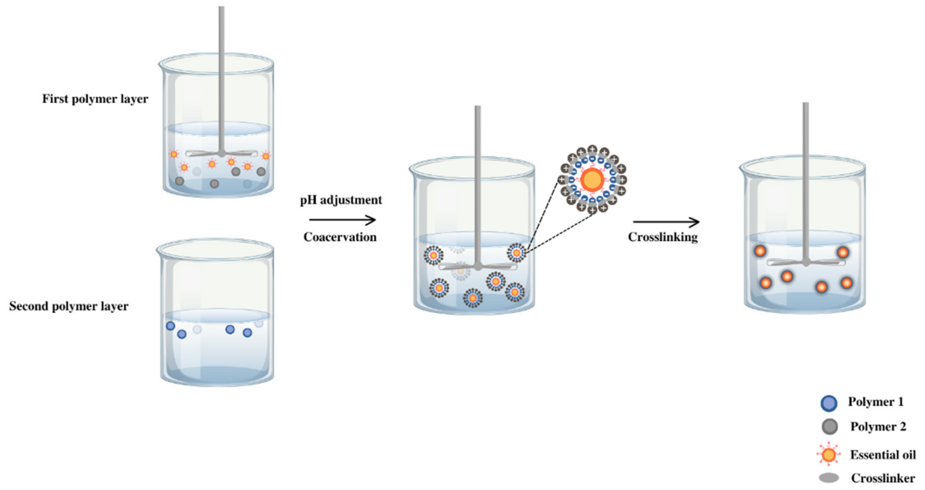 Polymers 16 00670 g002