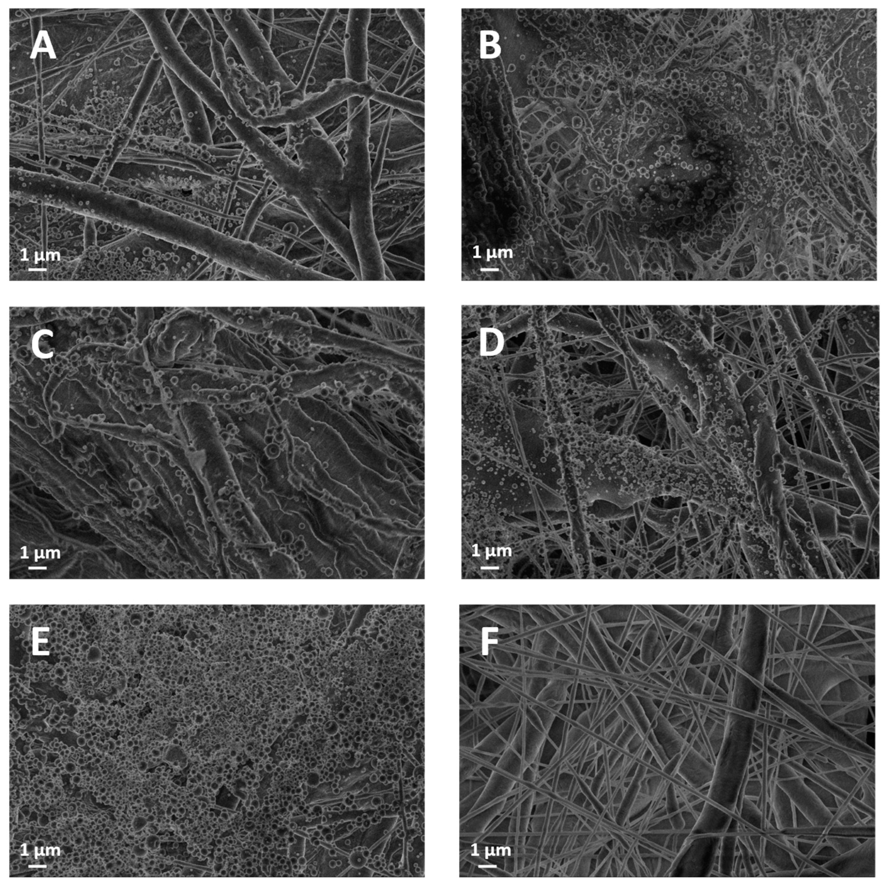 Polymers 16 00674 g002