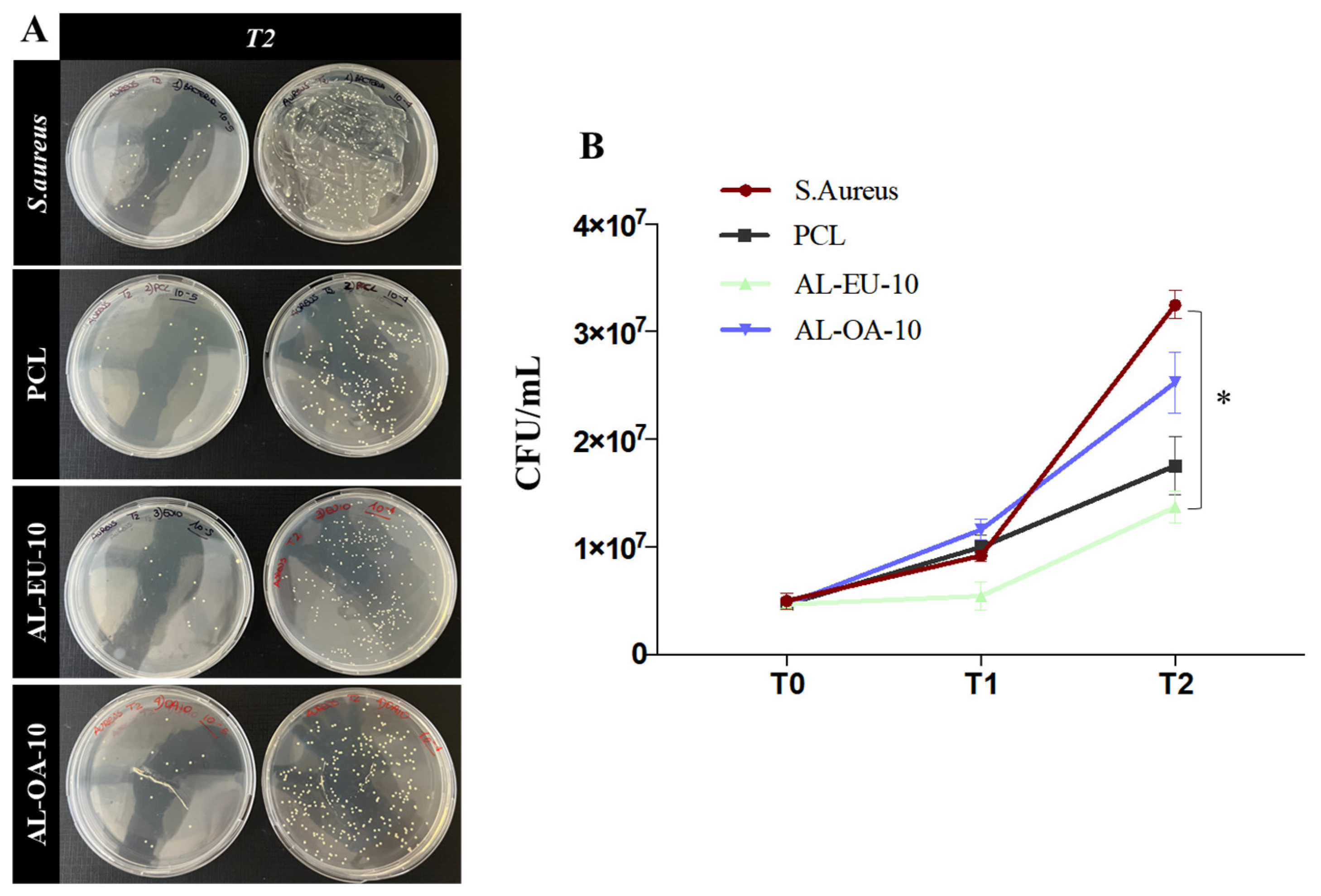 Polymers 16 00674 g011