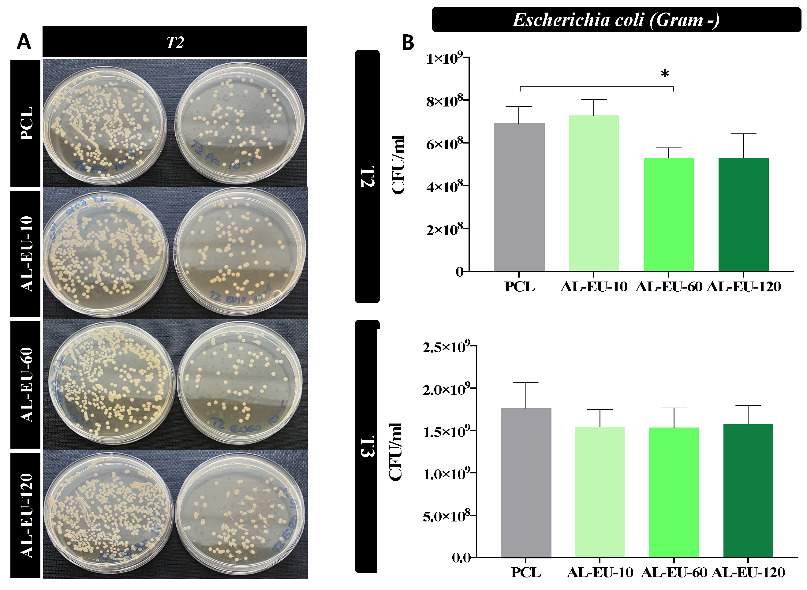 Polymers 16 00674 g013