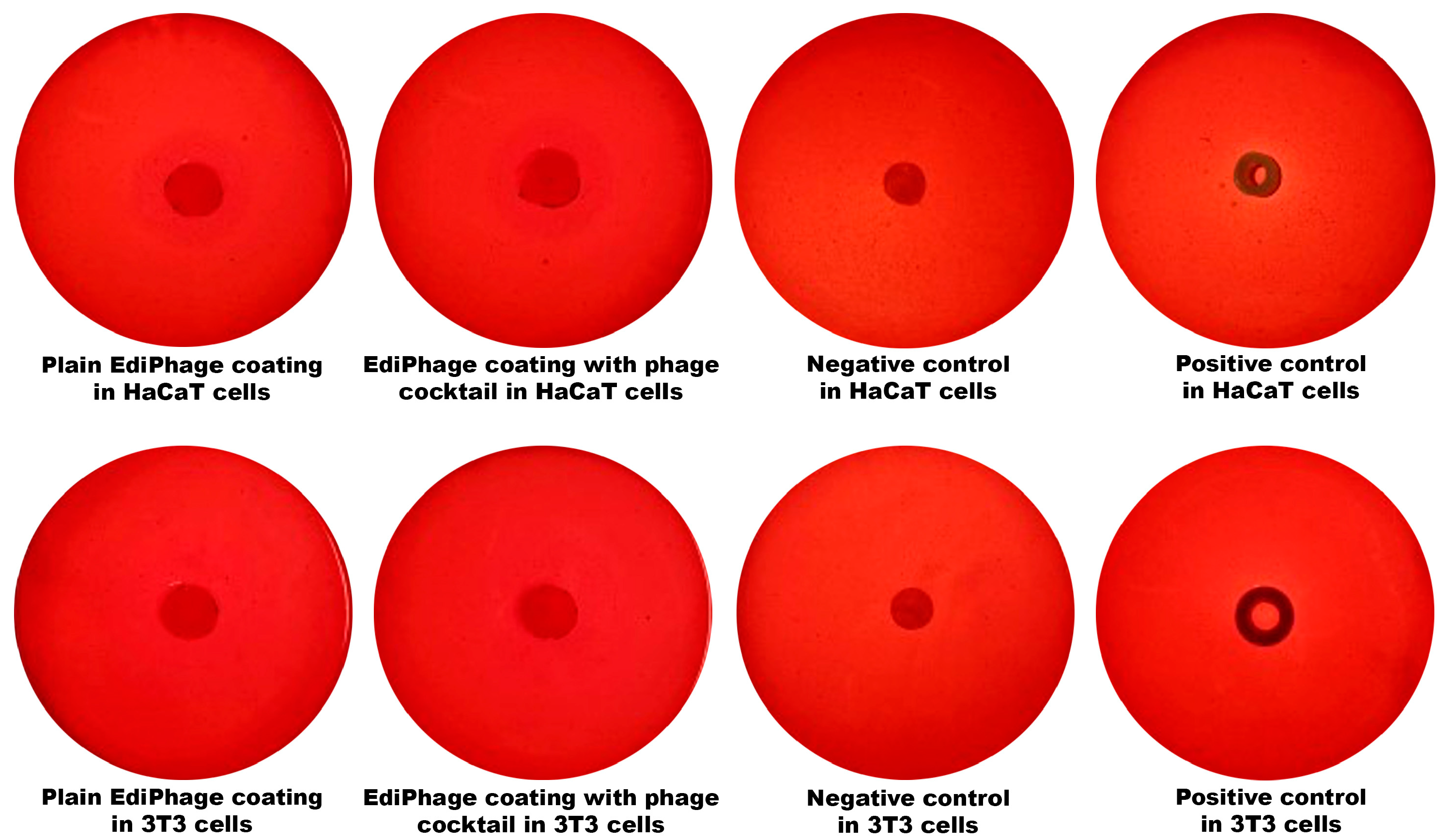 Polymers 16 00680 g005 Polymers 16 00680 g005