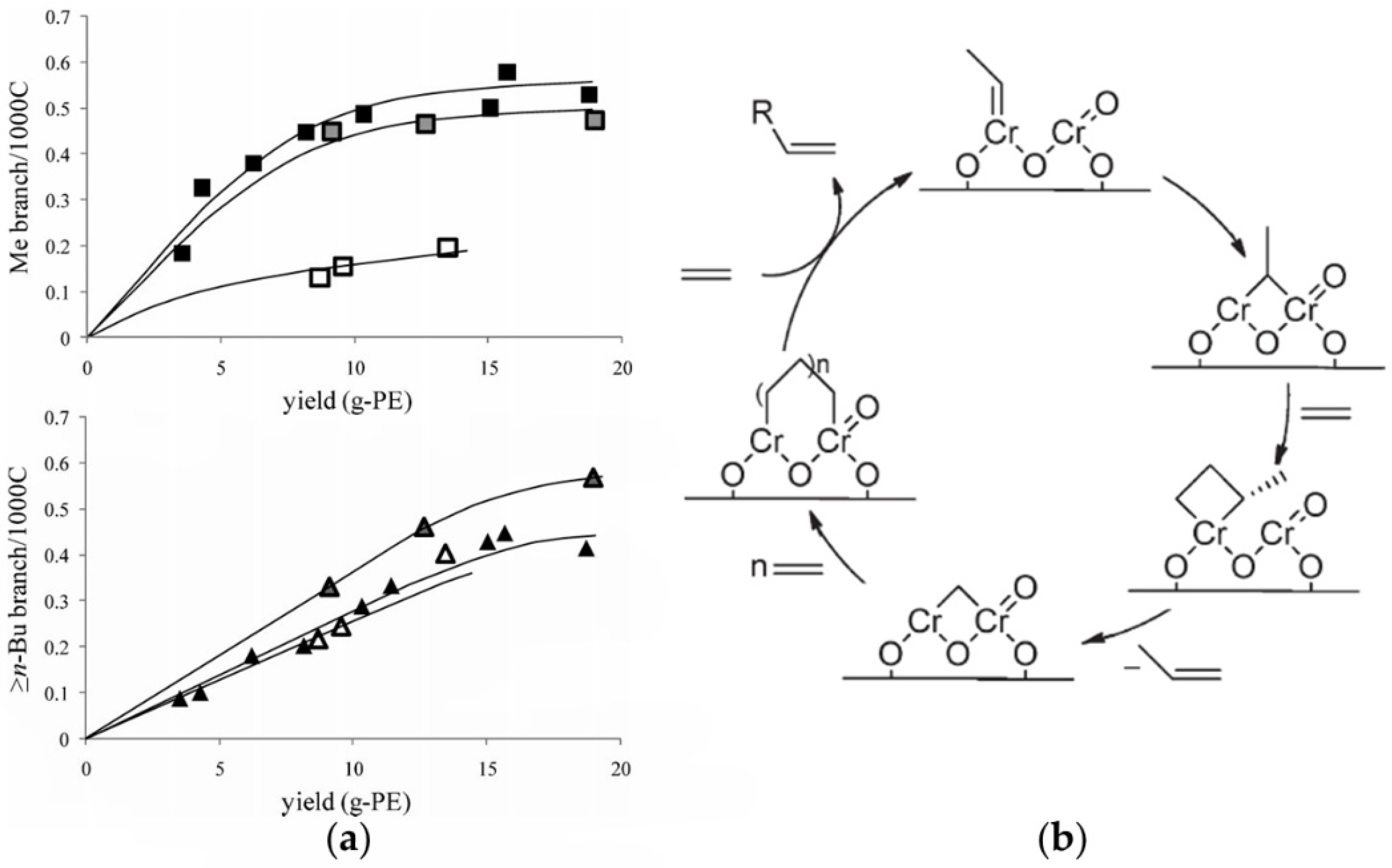 Polymers 16 00681 g005