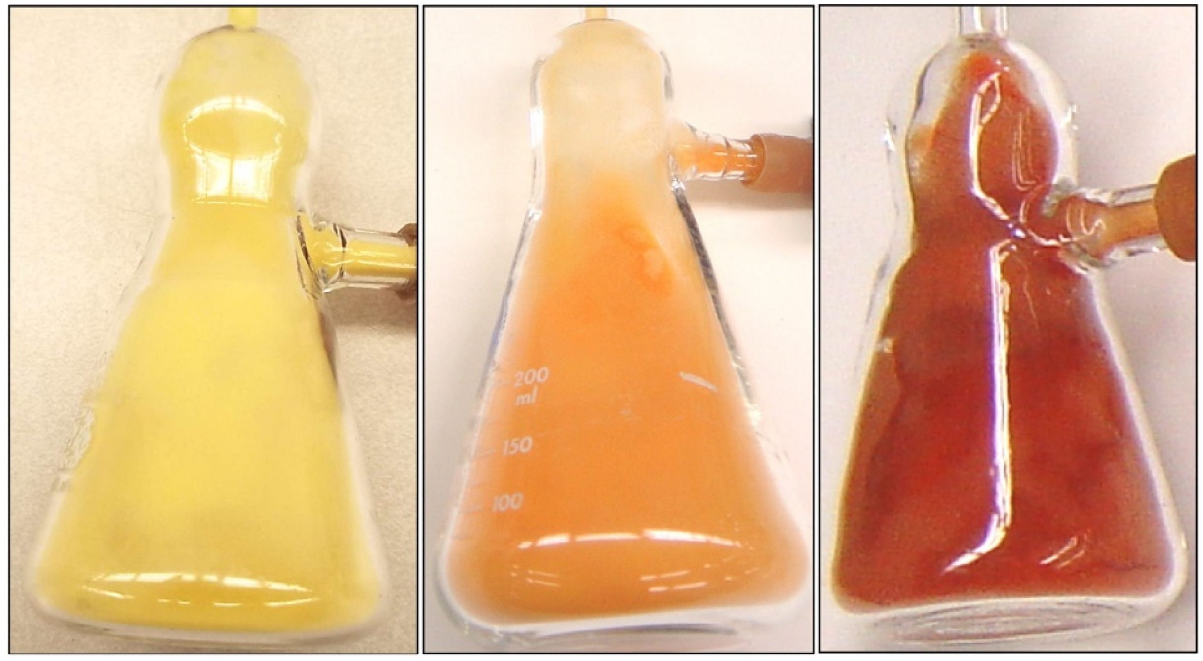 Polymers 16 00681 g006