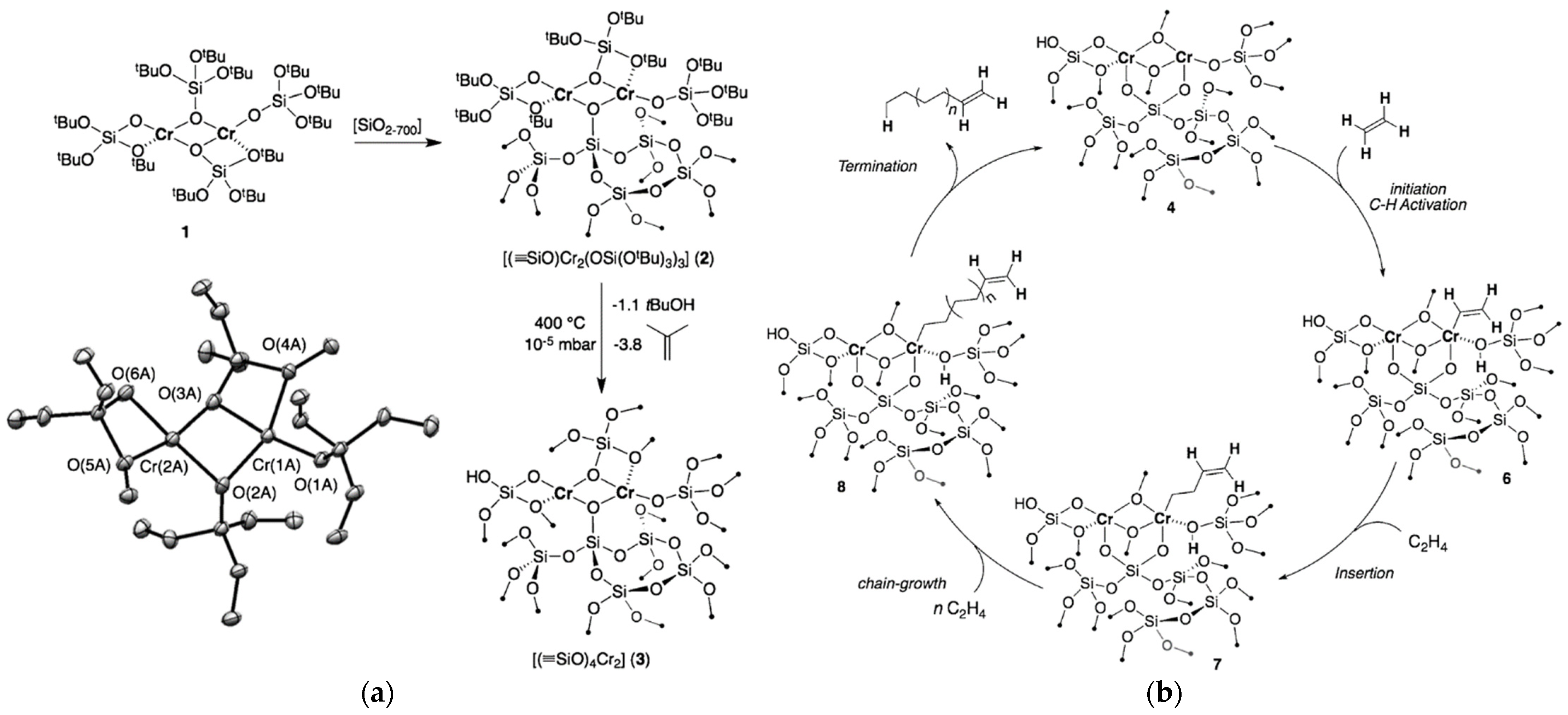 Polymers 16 00681 g035