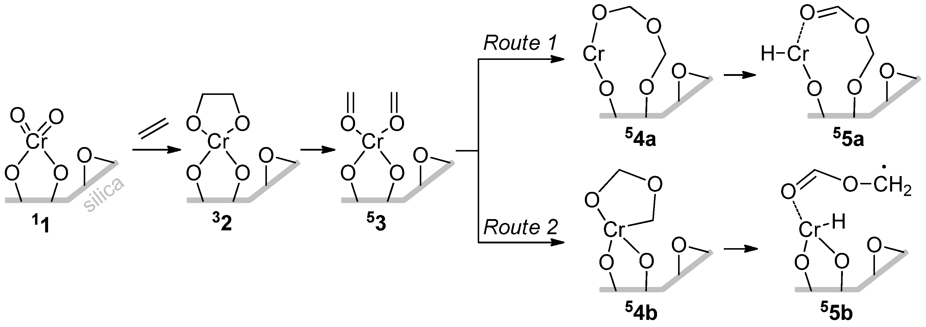 Polymers 16 00681 sch015