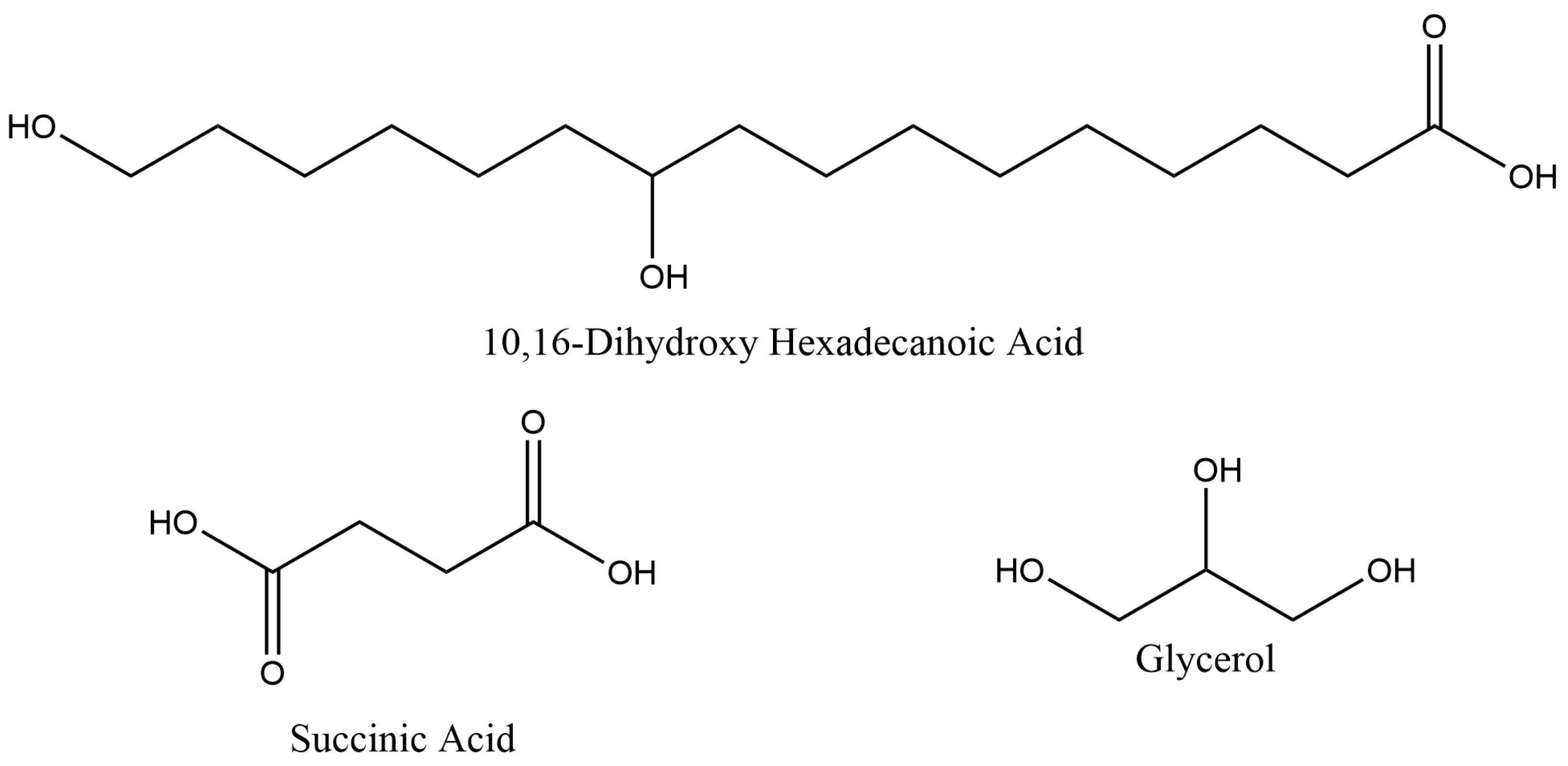 Polymers 16 00682 g001