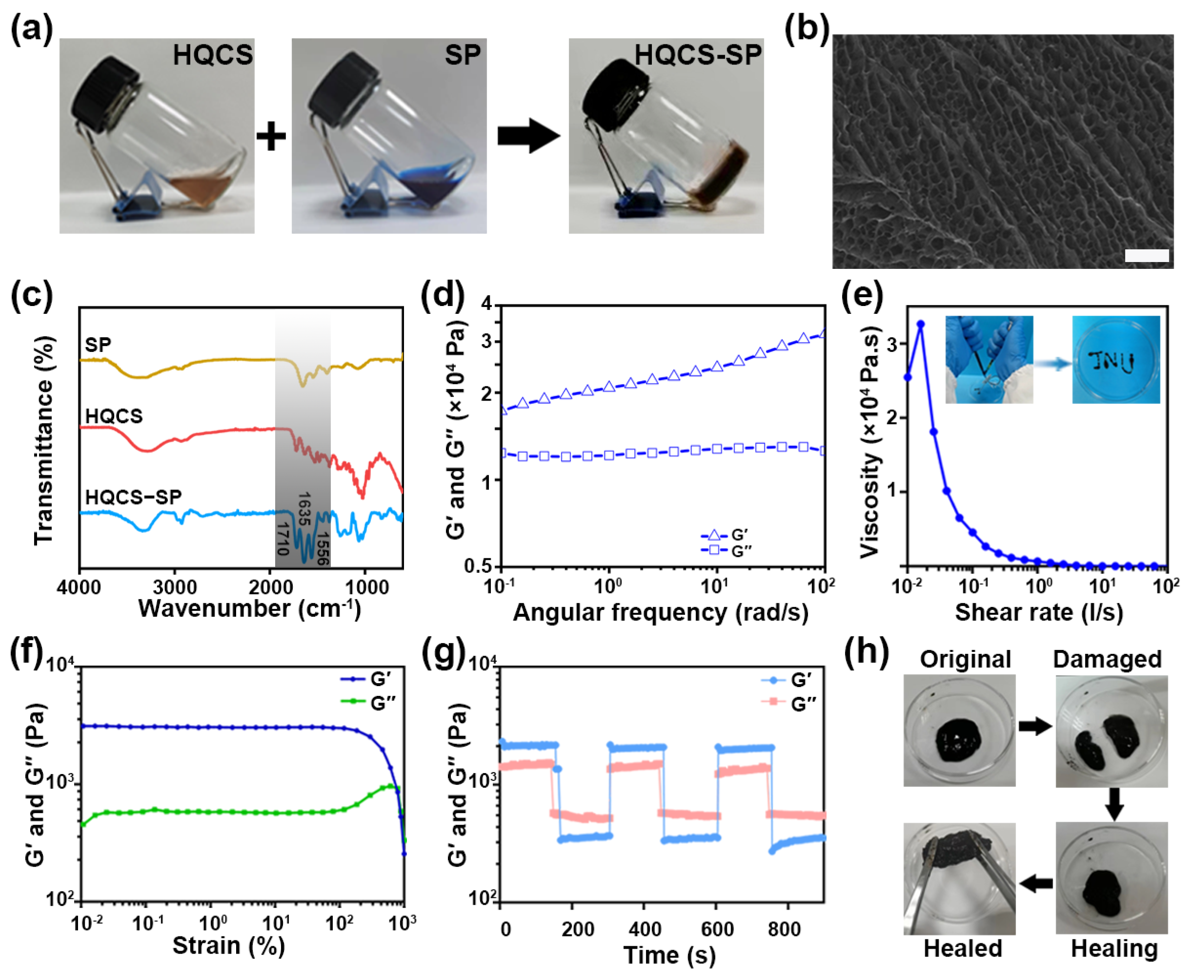 Polymers 16 00692 g002