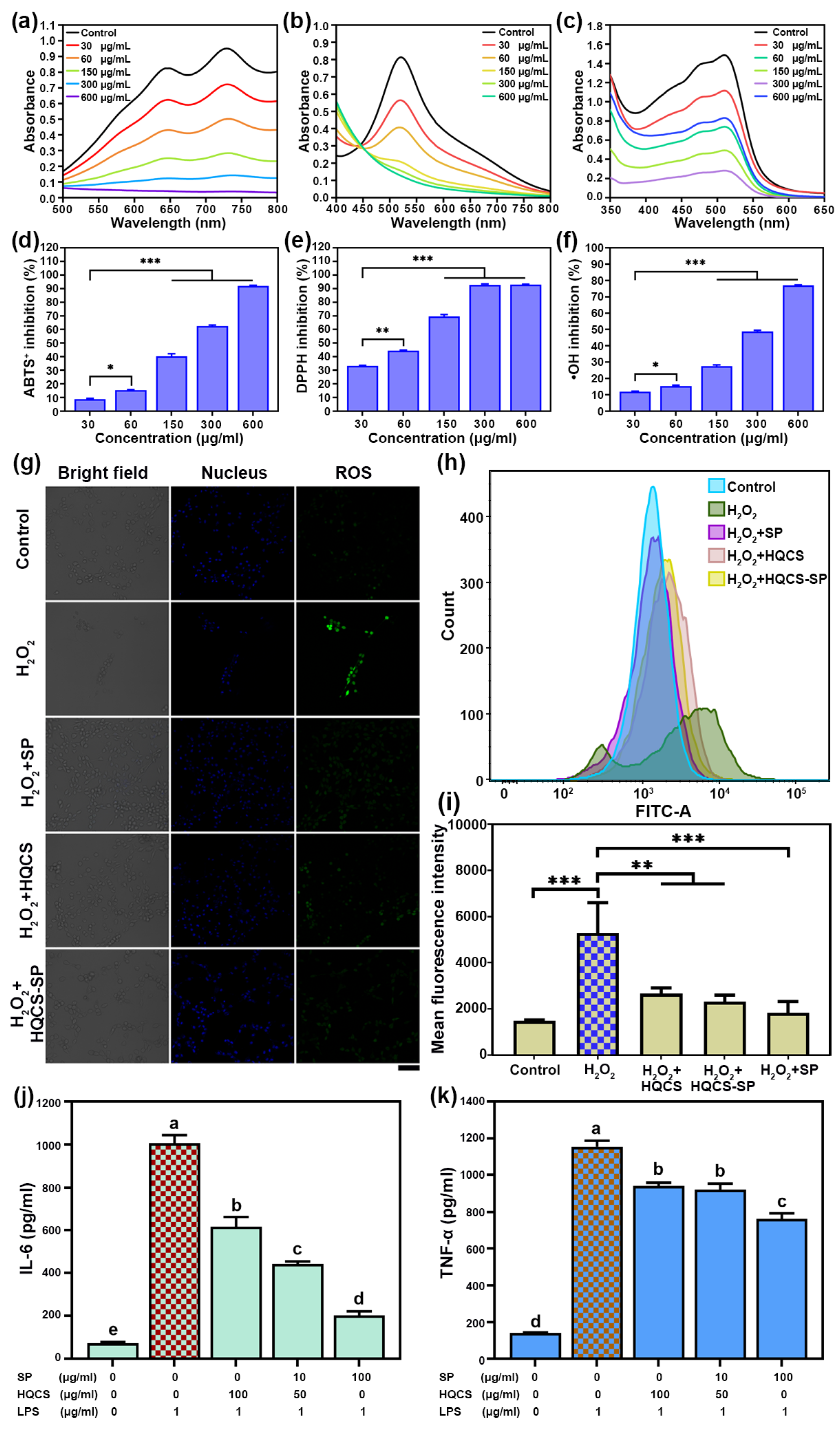 Polymers 16 00692 g005