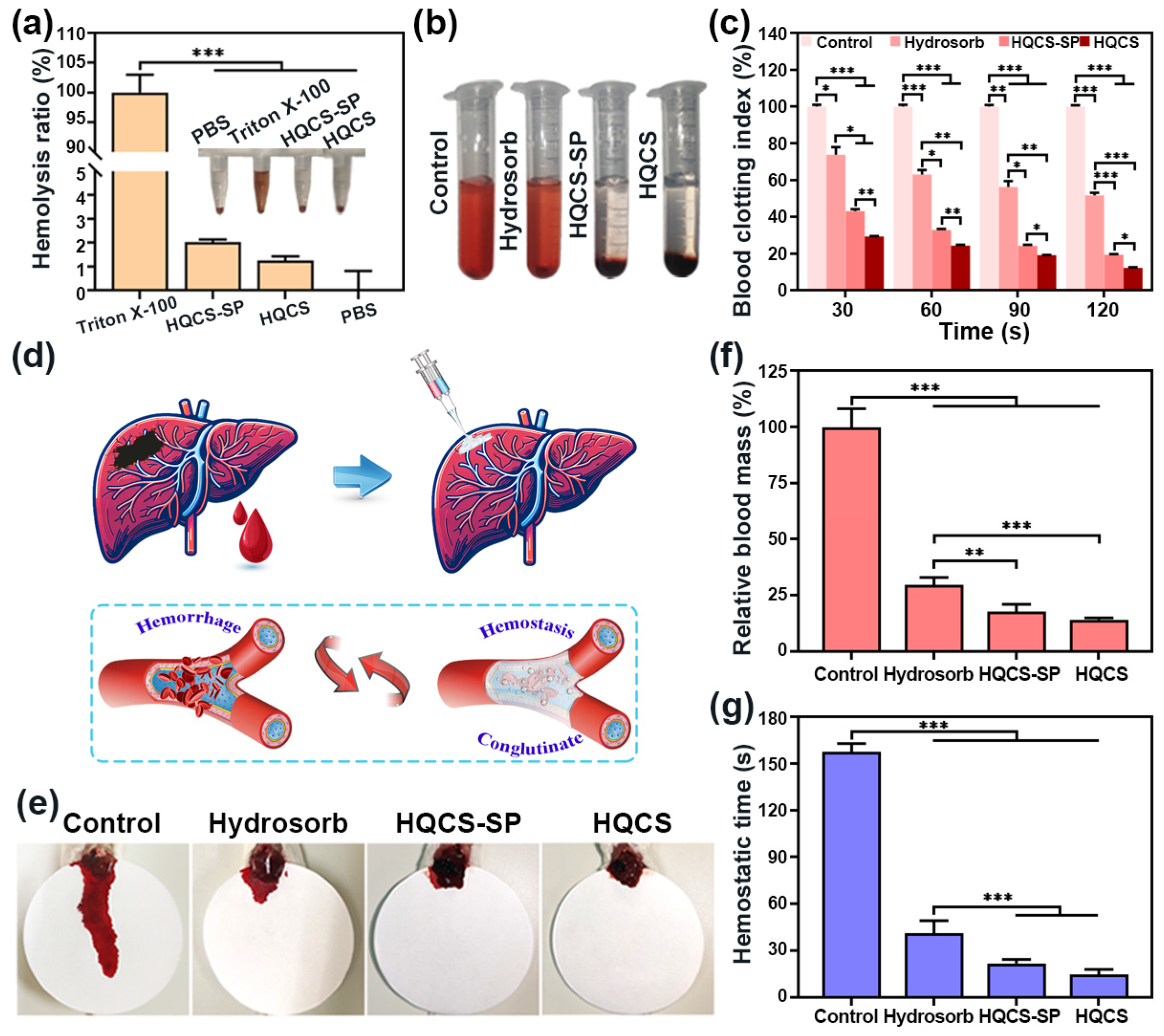 Polymers 16 00692 g006