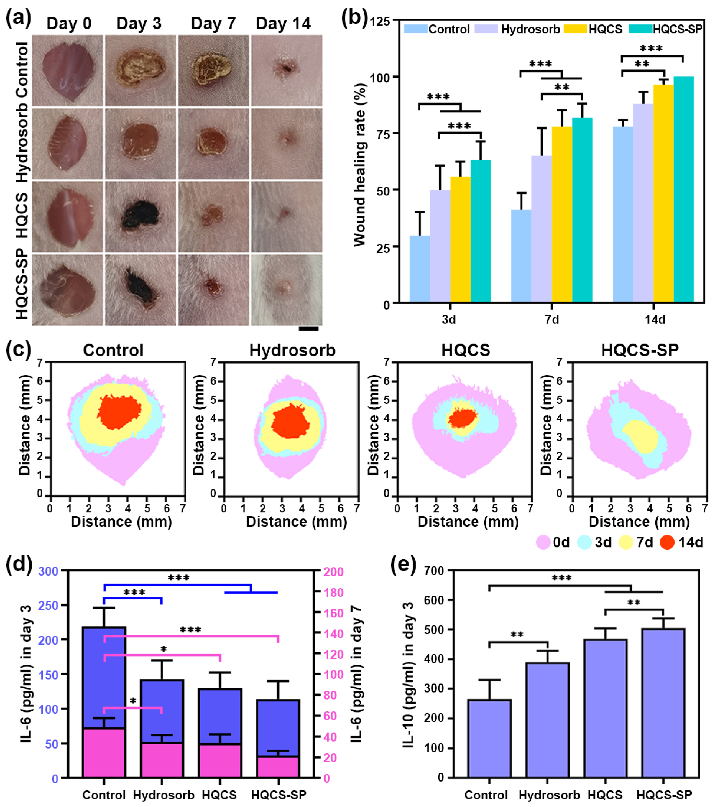 Polymers 16 00692 g007