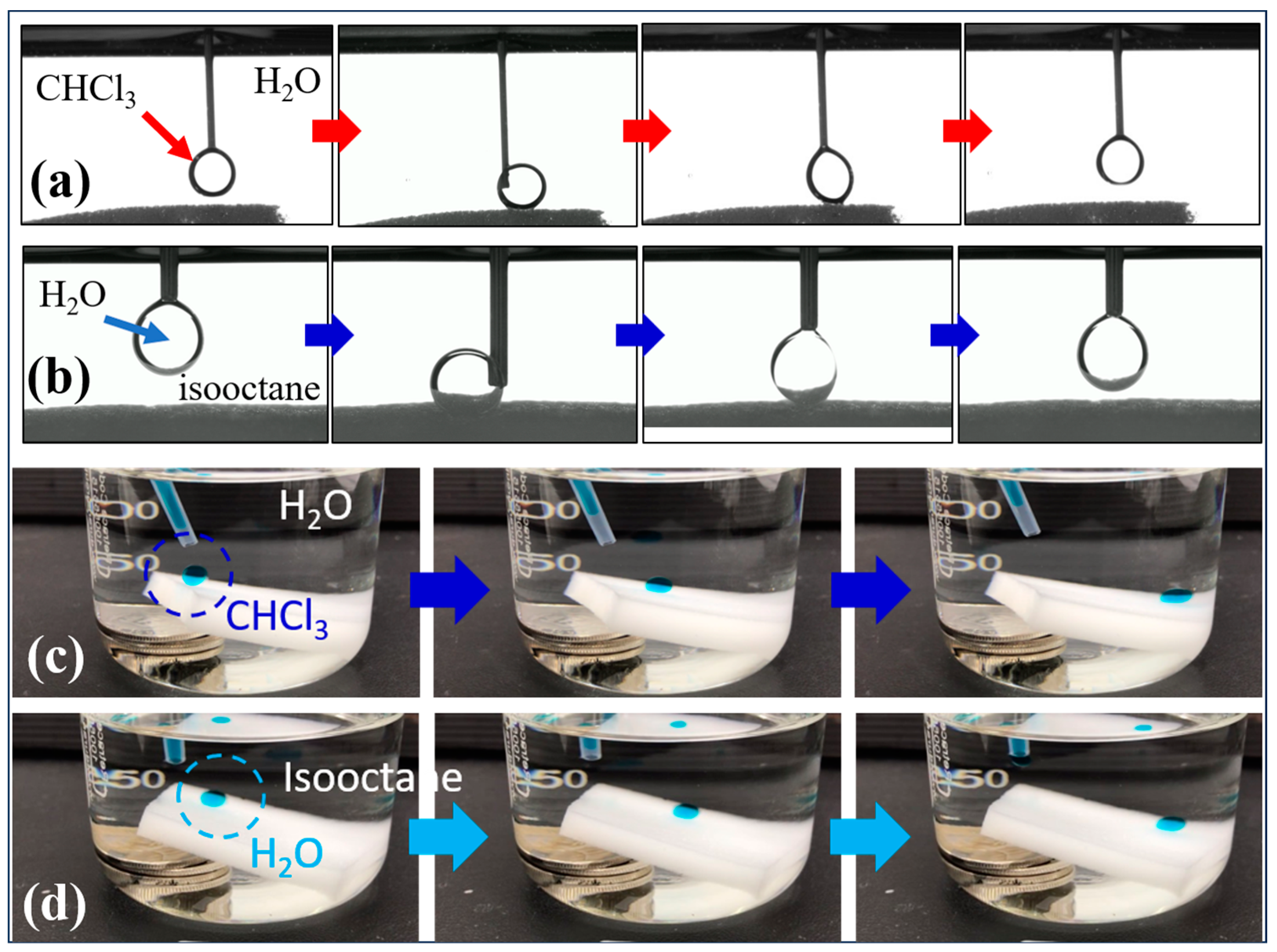 Polymers 16 00693 g005