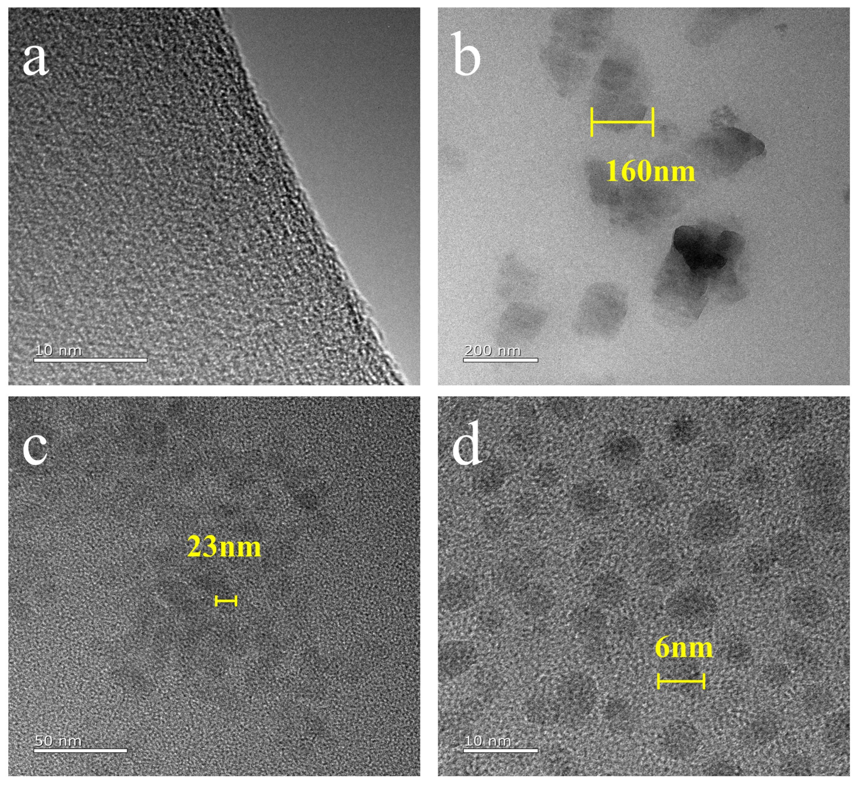 Polymers 16 00695 g003