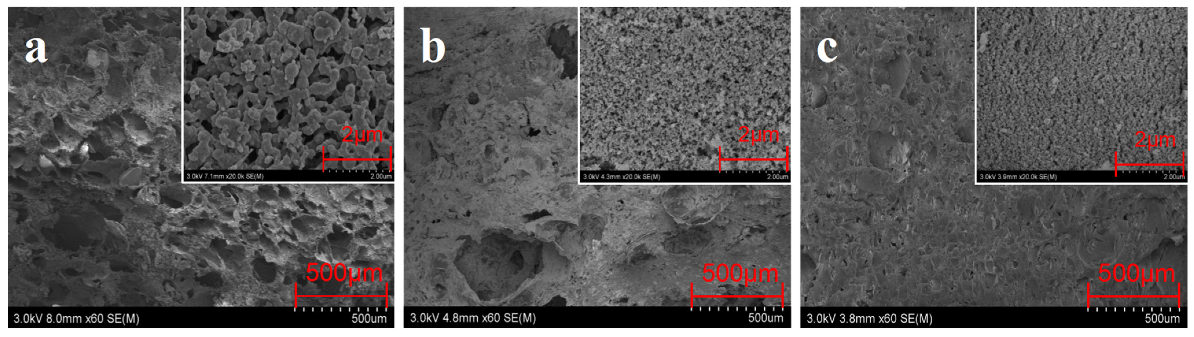 Polymers 16 00695 g012