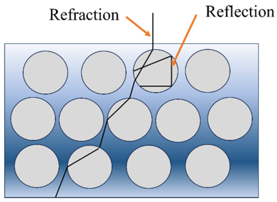 Polymers 16 00698 g001
