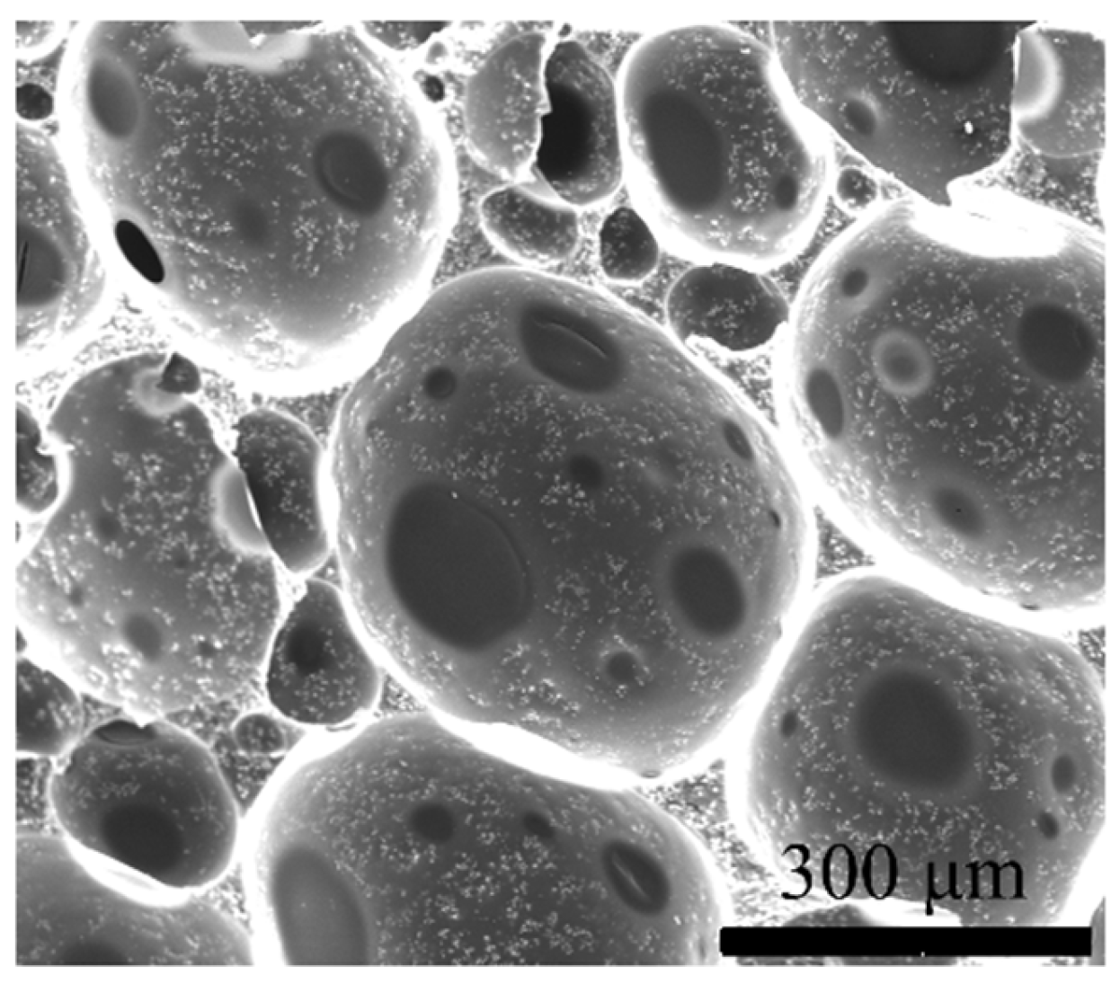 Polymers 16 00698 g005