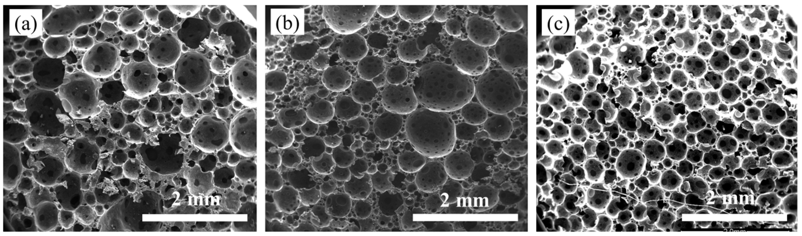 Polymers 16 00698 g006