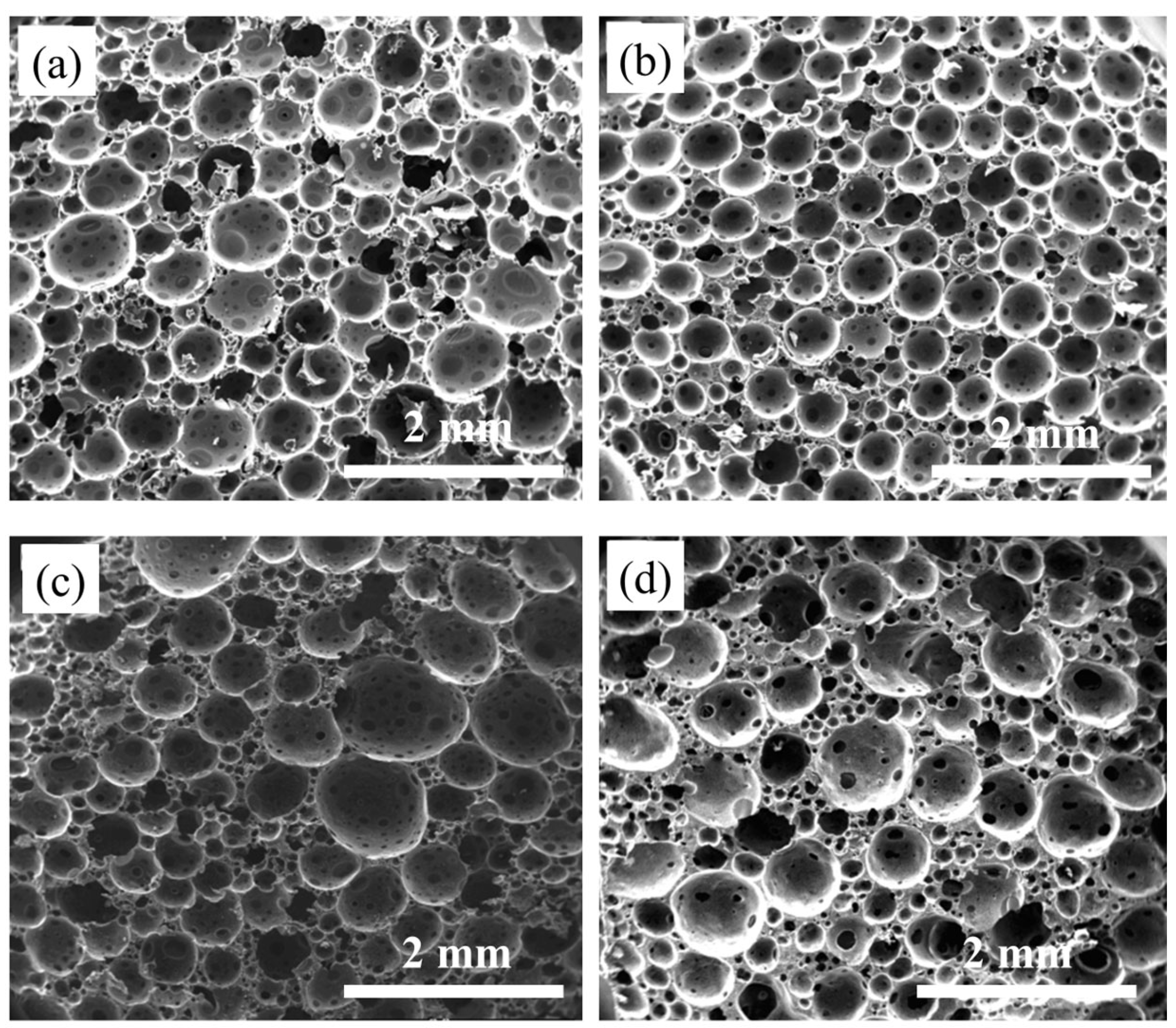 Polymers 16 00698 g009