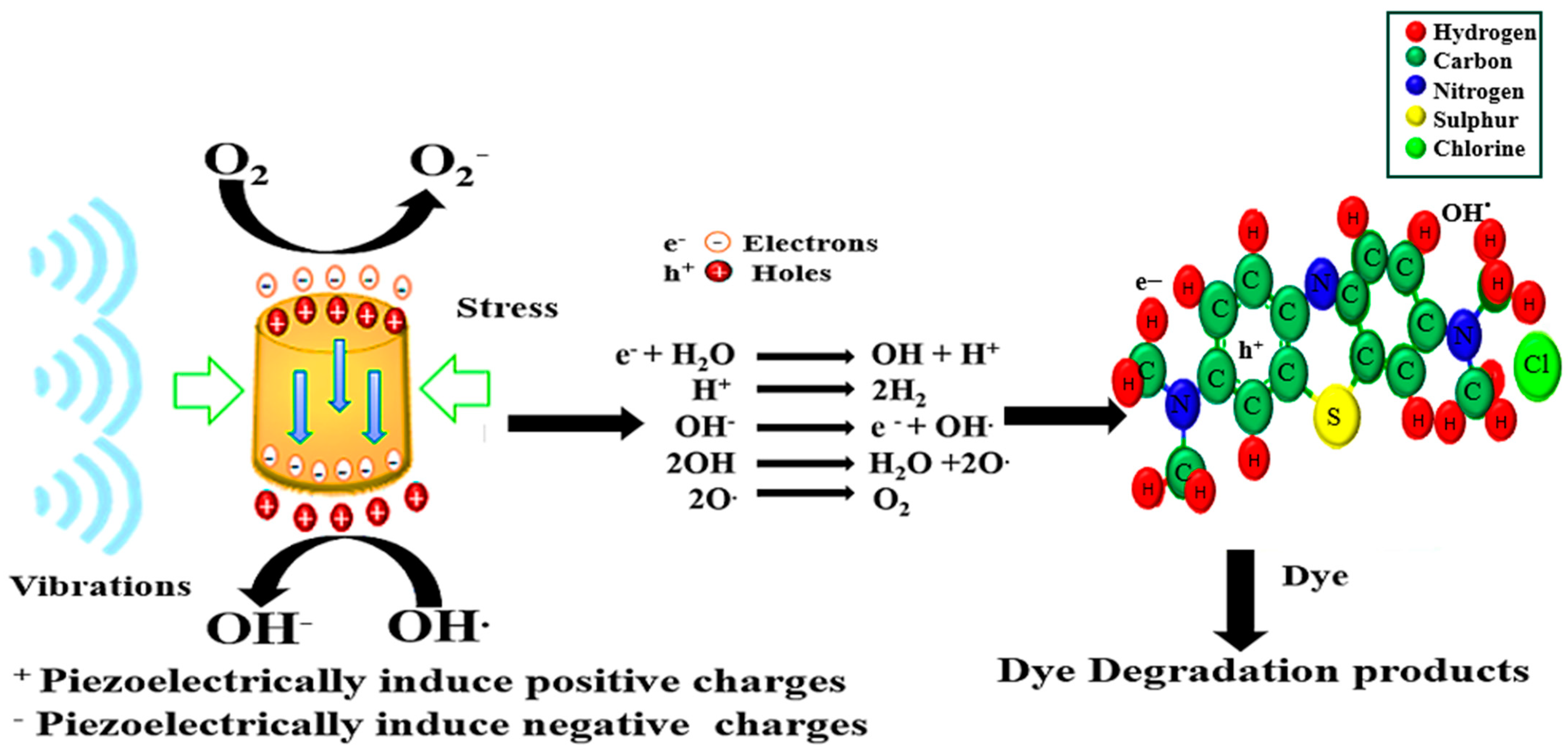 Polymers 16 00699 g001